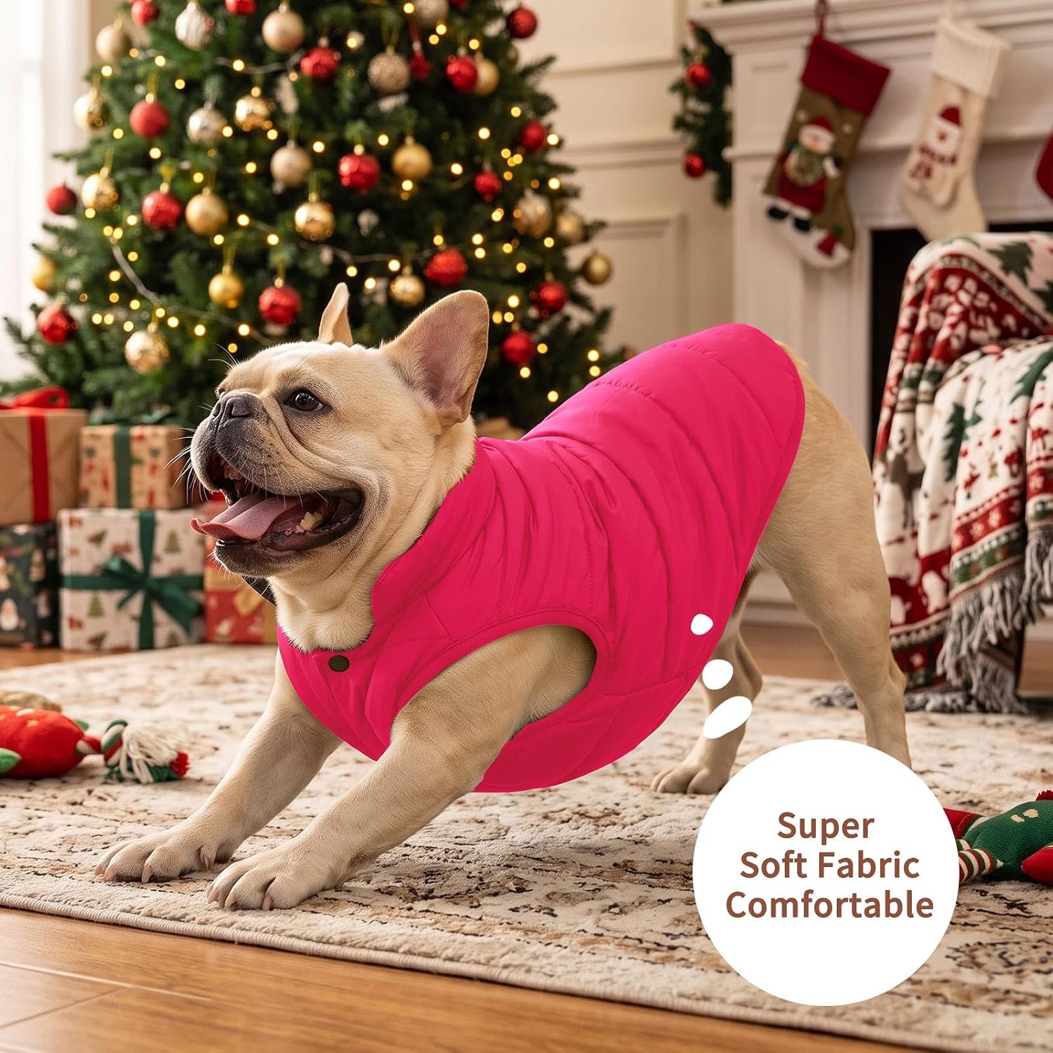 JoyDaog Fleece Lined Dog Jacket for Small Dogs,Winter Dog Coat,Pink M