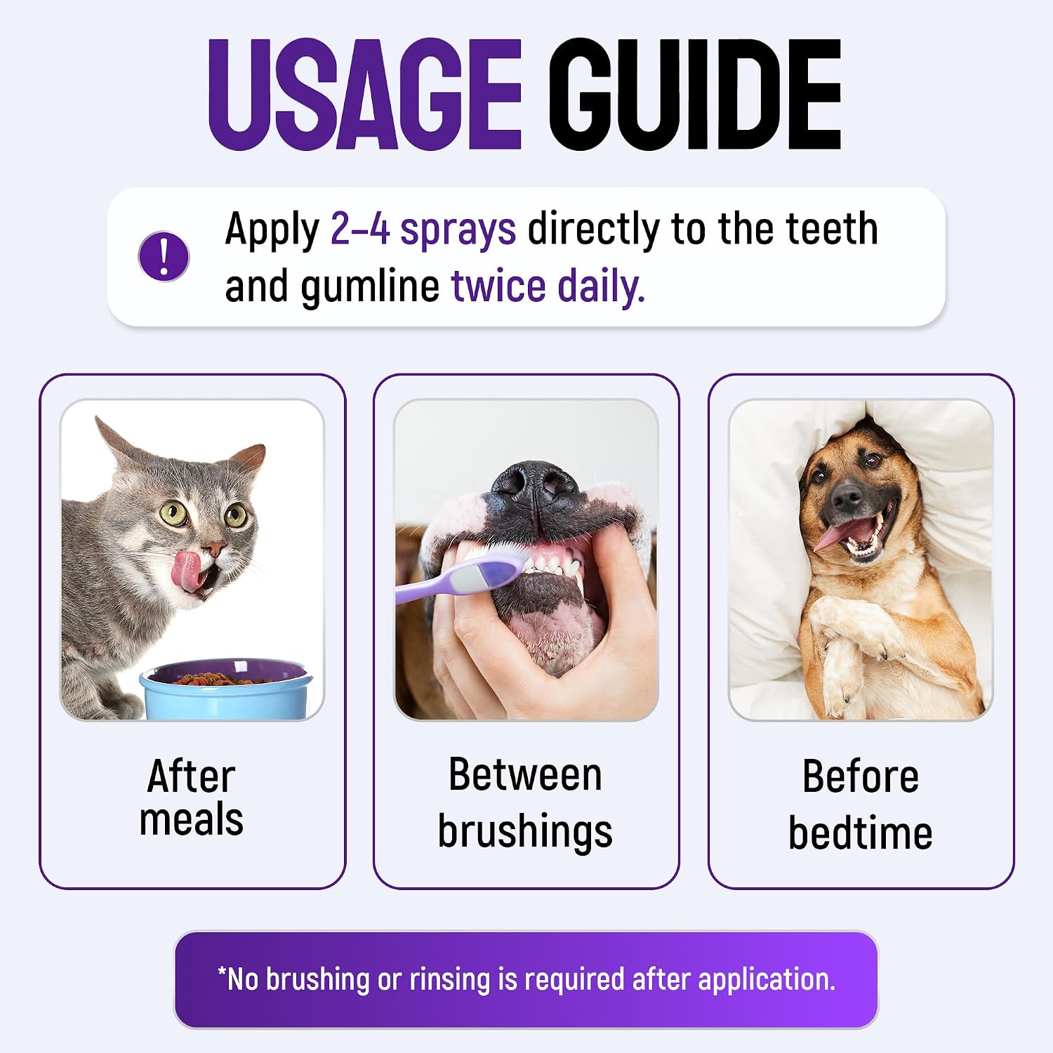 SILVER GRADE Teeth & Gum Cat & Dog Breath Freshener Spray – No Brushing Dog Dental Care Helps with Tartar & Caries – Pet Plaque Remover with Silver 25 PPM – Gentle Formula for Healthy Gums – 4 oz