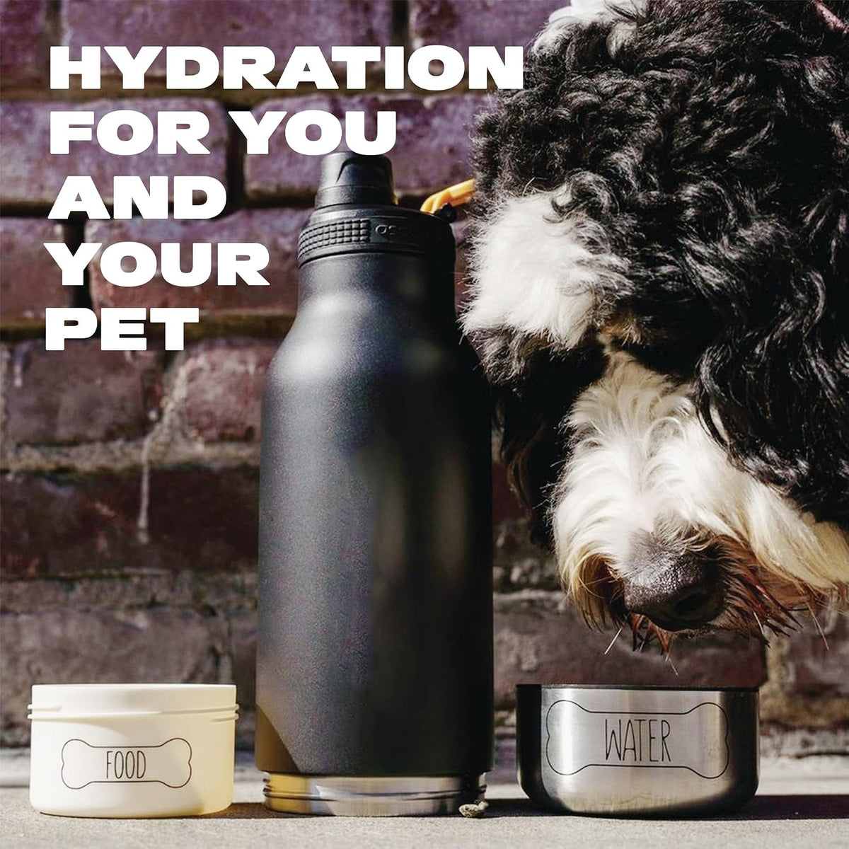 asobu Barky Bottle a Stainless Steel Insulated Water Bottle for with Removable Dog Water Bowl and Dog Food and Treat Storage Bowl (White, 34 oz Water Bottle | 2 Bowls)