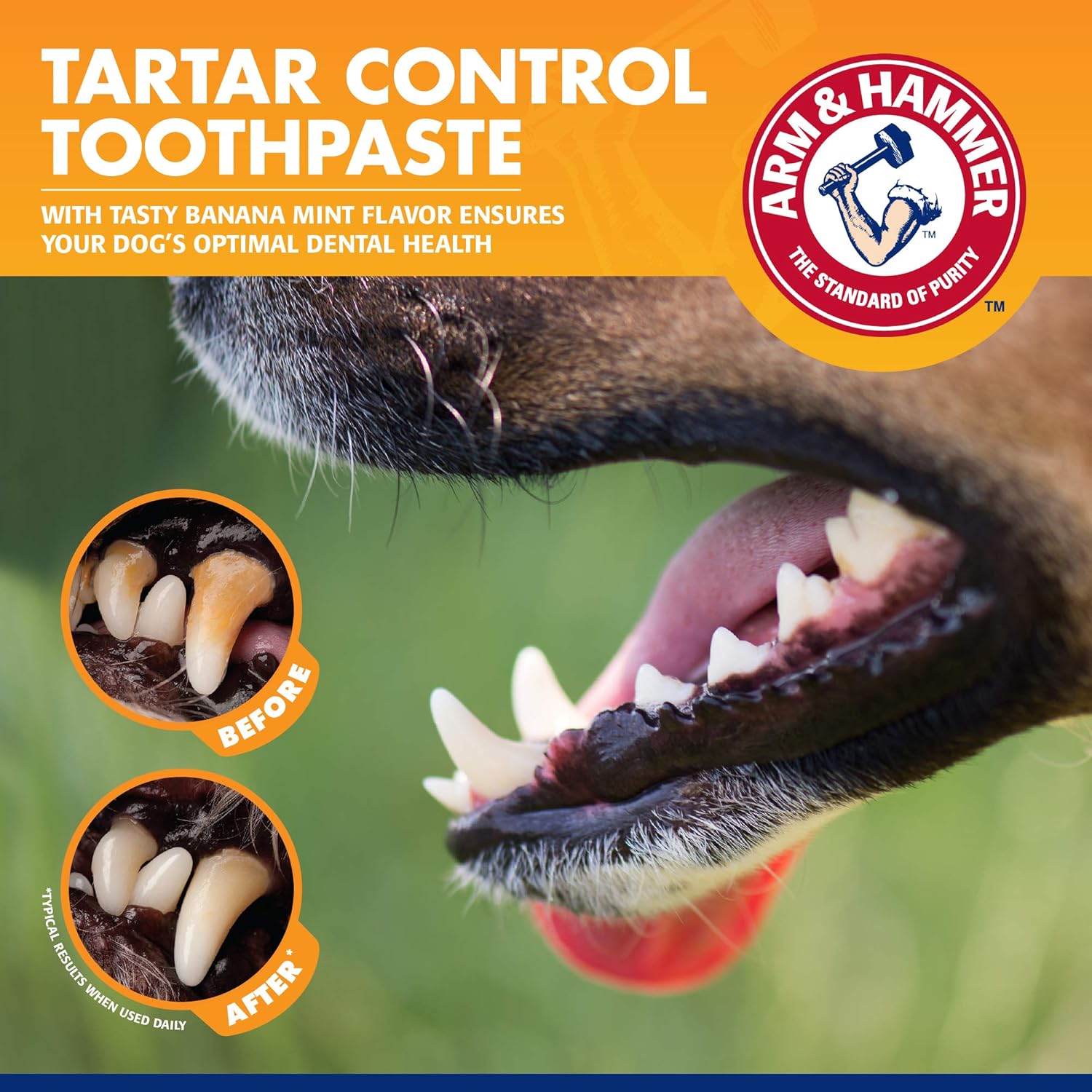 Arm & Hammer Tartar Control Dog Dental Kit, Banana Mint, 3-Piece
