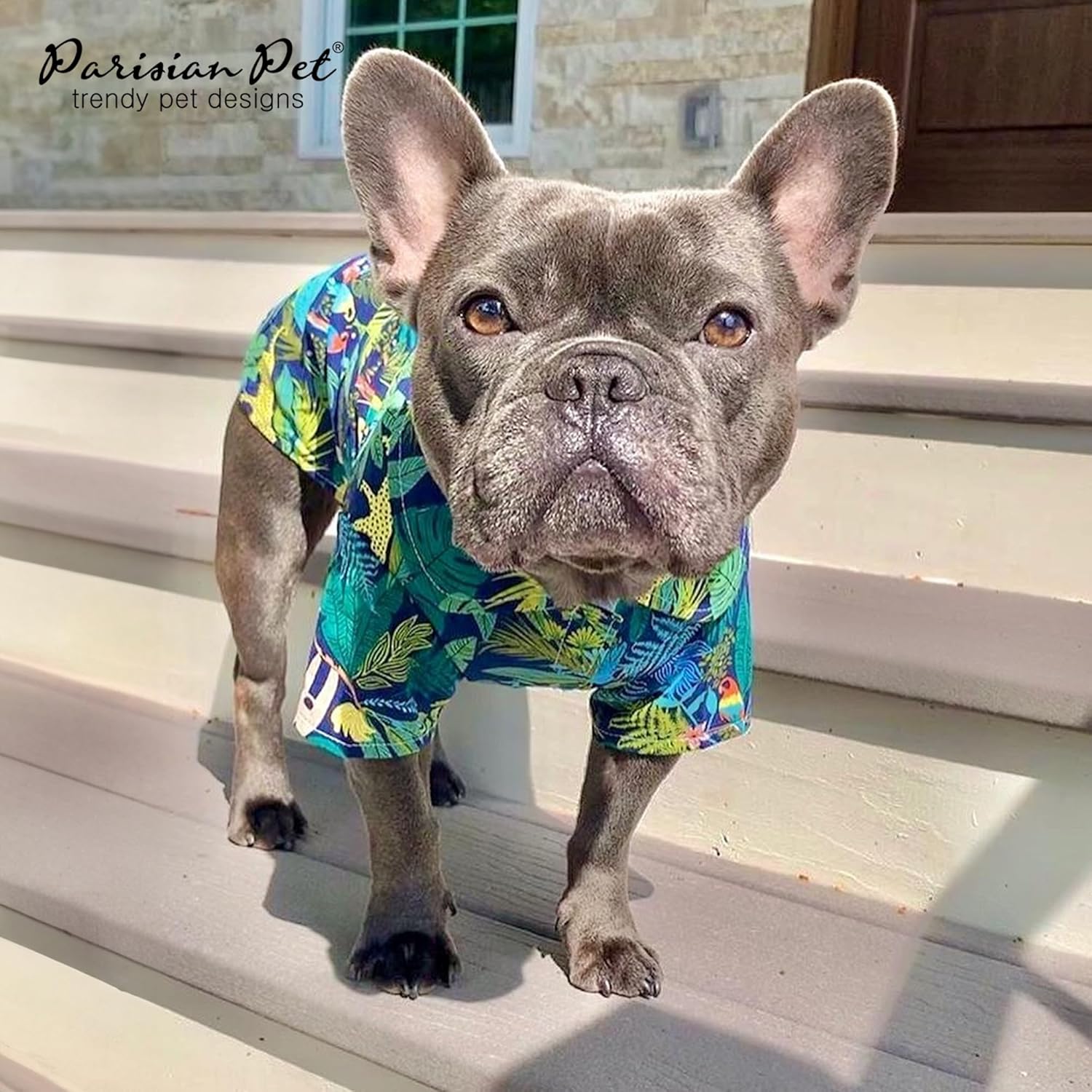 Parisian Pet Amazonia Dog Shirt - Cotton Clothes for Medium Dogs - Stylish Tropical Dog Outfit - Lightweight and Soft Puppy Clothes - Trendy Tshirts for Dogs - Comfortable Summer Pet Apparel