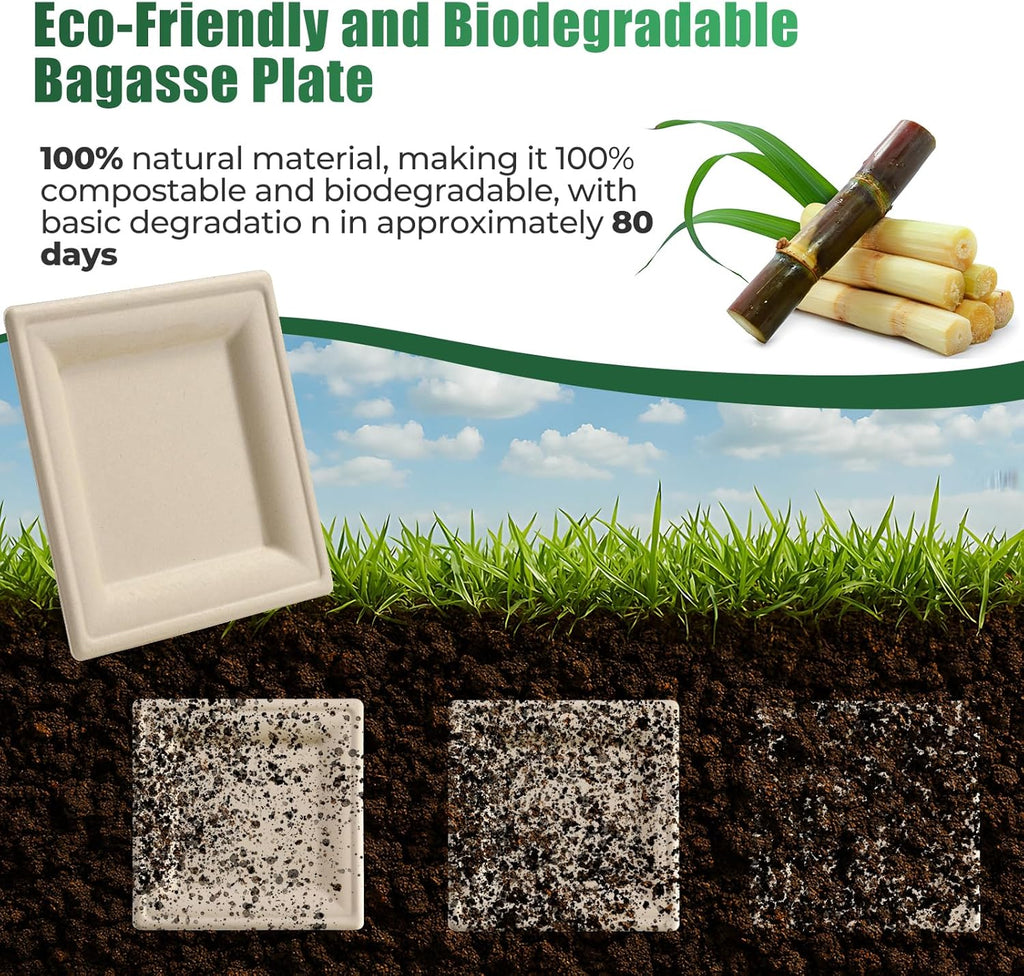 300Pcs Disposable Paper Plates Set, Compostable Plate Sugarcane Utensils Eco Friendly Dinnerware Kit Includes 50 Biodegradable Plates, Forks, Knives Napkins and Spoons for Brithday Party Camping