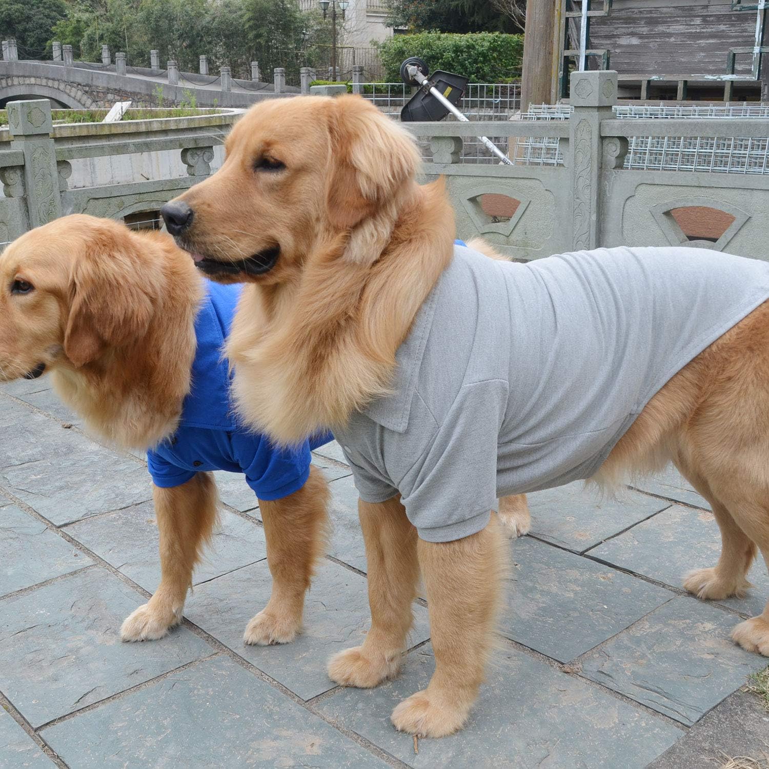 lovelonglong Basic Dog Polo Shirts Premium Cotton, Polo T-Shirts for Large Medium Small Dogs with a Two-Button Collar Blank Color Gray XL