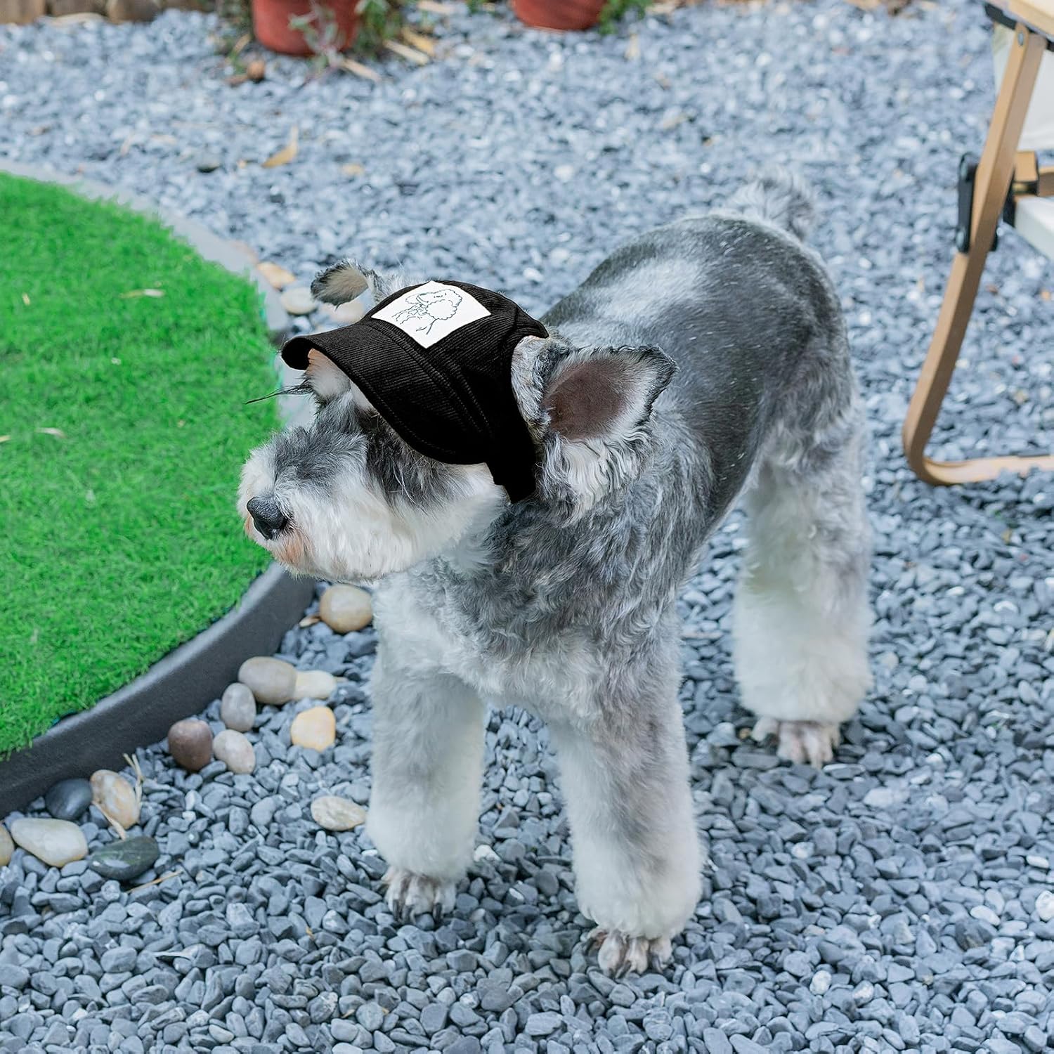 Pet Dog Baseball Cap, Cat Hat, Cat Dog Sun Cap with Ear Holes, Adjustable Puppy Outdoor Sun Hat (Black, Medium)