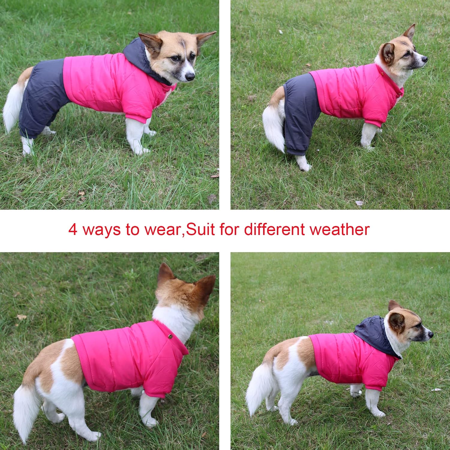 JoyDaog Detachable Hood and Hind Leg Dog Snowsuit,Winter Puppy Coat Blue XS