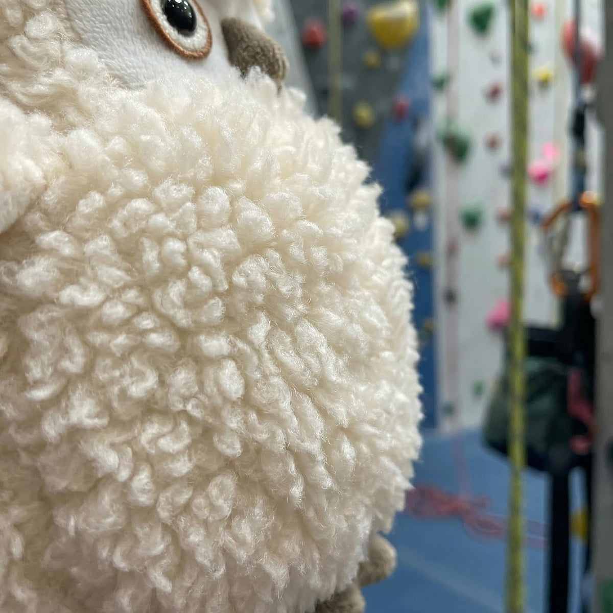 Owl Rock Climbing Chalk Bag, Fun Plush Animal Chalk Pouch with Drawstring, Adjustable Waist Belt for Indoor Outdoor Bouldering Sport Climbing