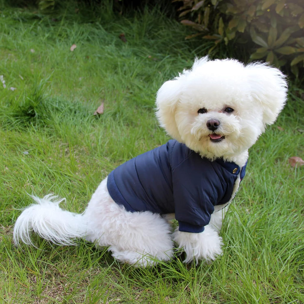 JoyDaog Detachable Hood and Hind Leg Dog Snowsuit,Winter Puppy Coat Blue XS