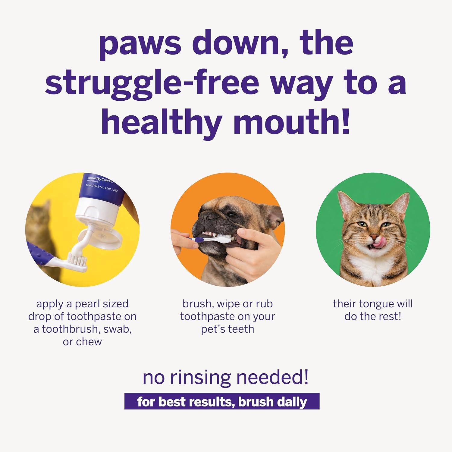 Petsmile VOHC Accepted Pet Toothpaste, London Broil 2.5 Oz, Cats + Dogs