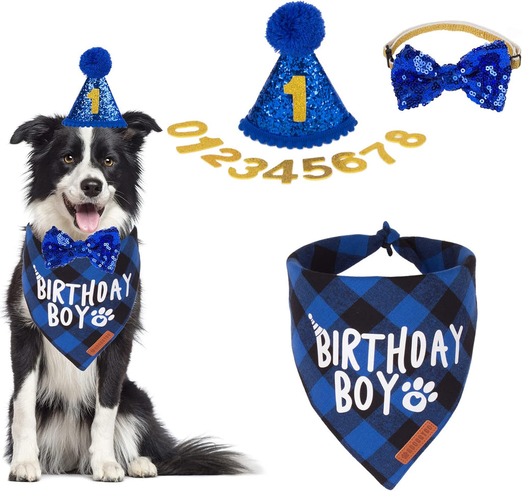 ADOGGYGO Dog Birthday Hat, Blue Birthday Boy Dog Bandana Set, X-Large