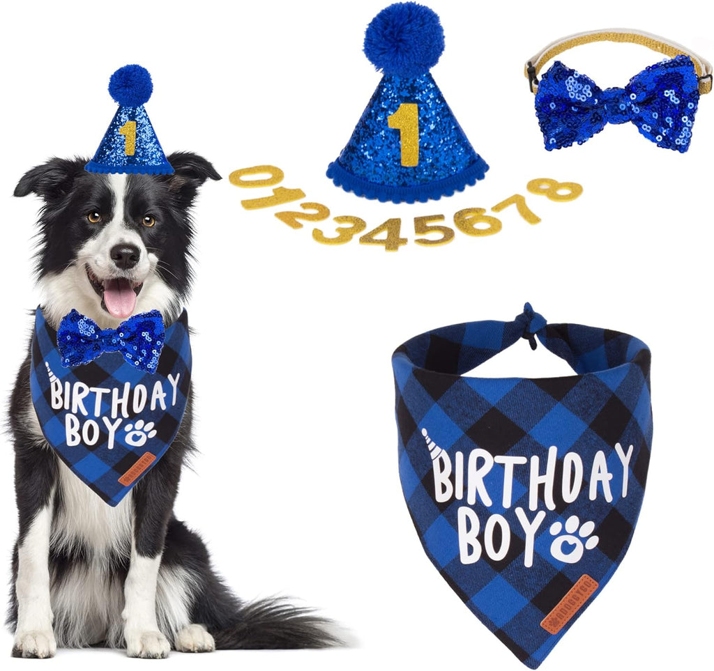 ADOGGYGO Dog Birthday Hat, Pink Birthday Girl Dog Bandana Set, X-Large