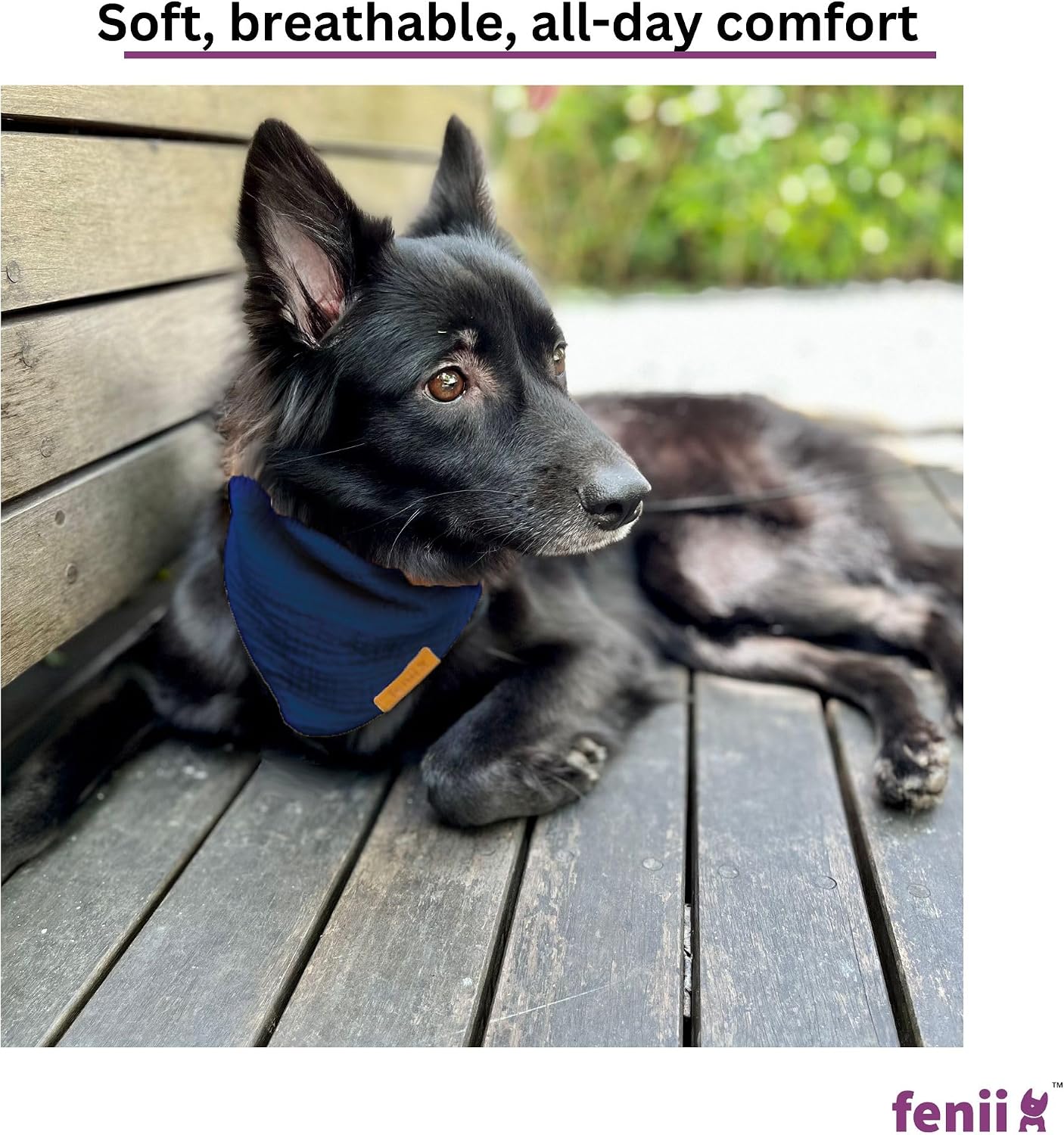 Premium Cotton Dog Bandanas - 2 Pack - Adjustable Fit - Washable - for Small, Medium & Large Breeds - Girl & Boy Dog Accessories - Multiple Sizes (Midnight Blue & Slate Blue, Large)