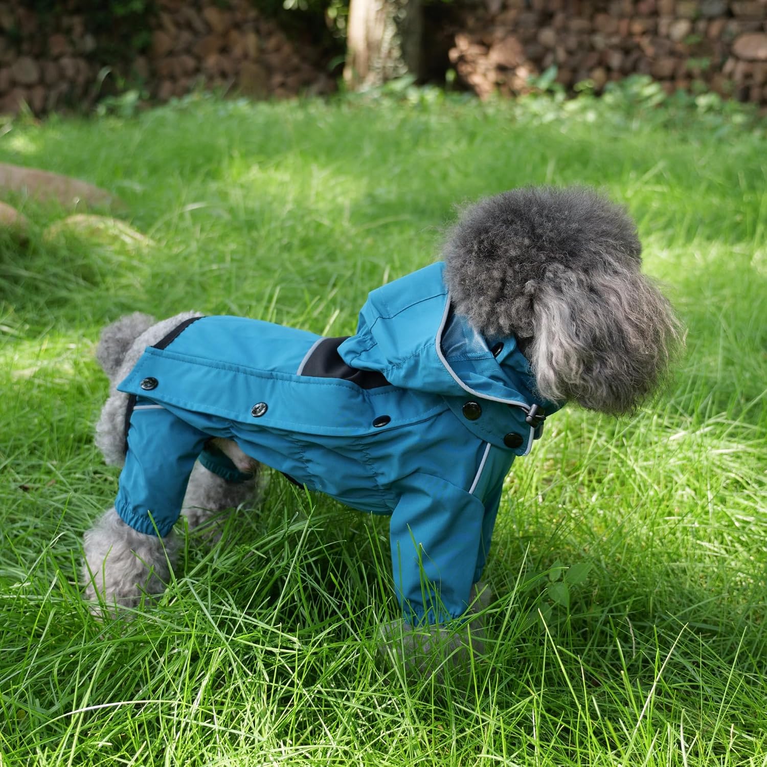 LOVELONGLONG Waterproof Dog Raincoat with Removable Hood – Outdoor Full Body Dog Jacket, Windproof Snowproof Shell Suit – All Season Pet Rain Gear Ocean Teal 3XL