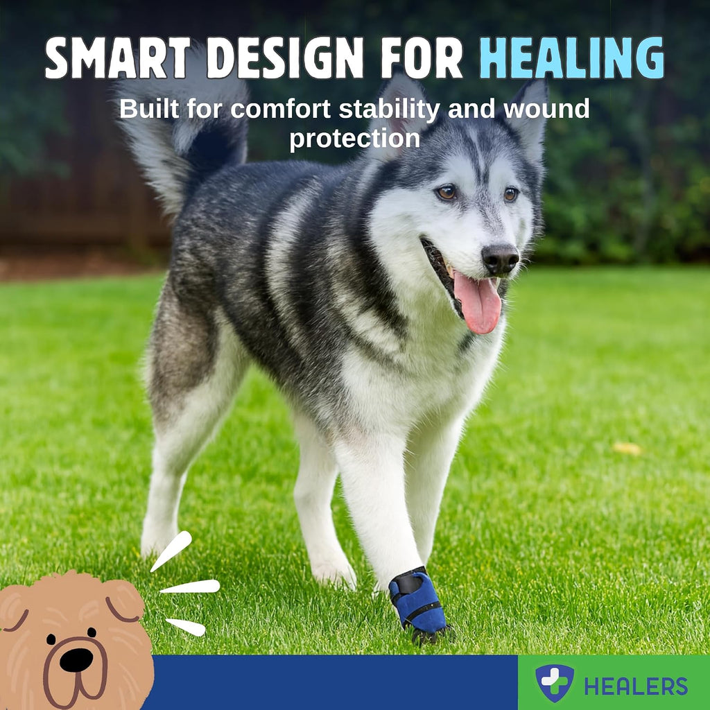 Healers PetCare Medium Medical Dog Boot (Single) + Gauze Pack – Protective Dog Bootie for Injured Paws, Wound Care & Recovery - Non-Stick Paw Pads for Wound Care & Protection