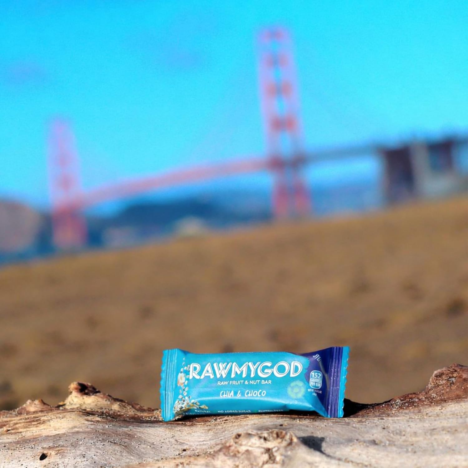 RAWMYGOD Fruit and Nut Bars, Good Source of Protein (10g, 25% protein content), Gluten Free, Vegan, No Added Sugar (16 bars, Chia & Choco)