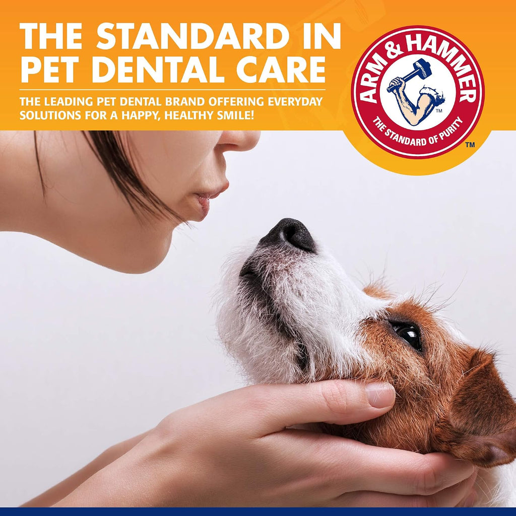 Arm & Hammer Tartar Control Dog Dental Kit, Banana Mint, 3-Piece