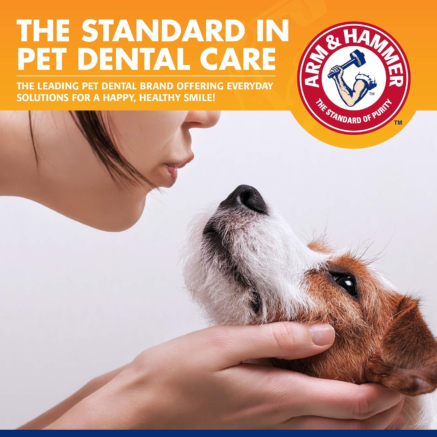 Arm & Hammer Tartar Control Dog Dental Kit, Banana Mint, 3-Piece