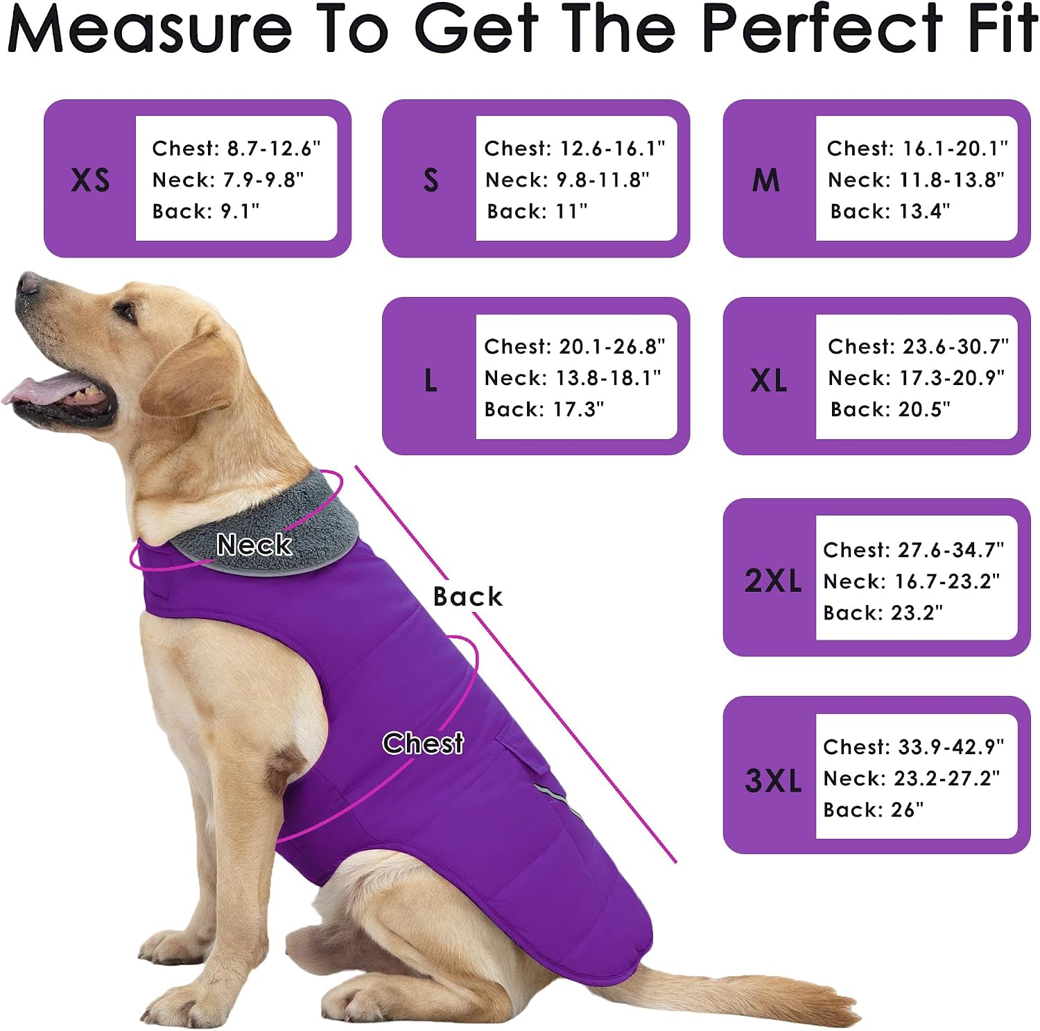 Petglad Dog Coat, Waterproof Dog Winter Jacket with Pocket, Reflective Adjustable Pet Snow Vest, Warm Cozy Fleece Sweater for Small Medium Extra Large Dogs - Purple, S