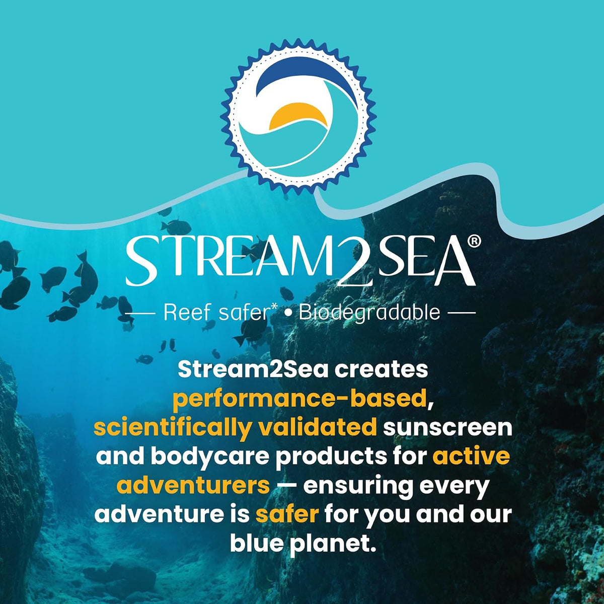 STREAM 2 SEA Reef Safe Anti-Fog Spray for Swim Goggles, Snorkel, Scuba & Ski Masks – Defogger for Diving, Snorkeling – 2Fl Oz