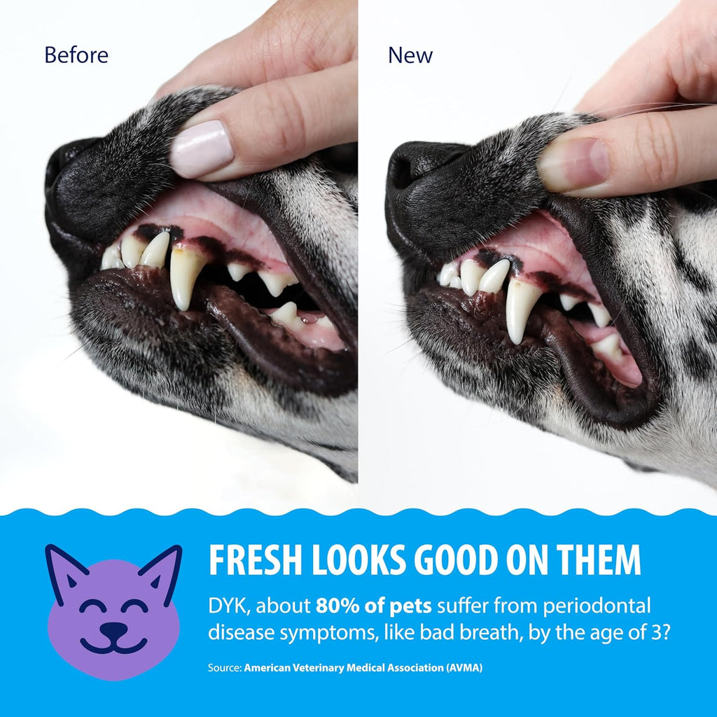 Dental Fresh Advanced Plaque & Tartar Water Additive for Dogs & Cats, 17 oz