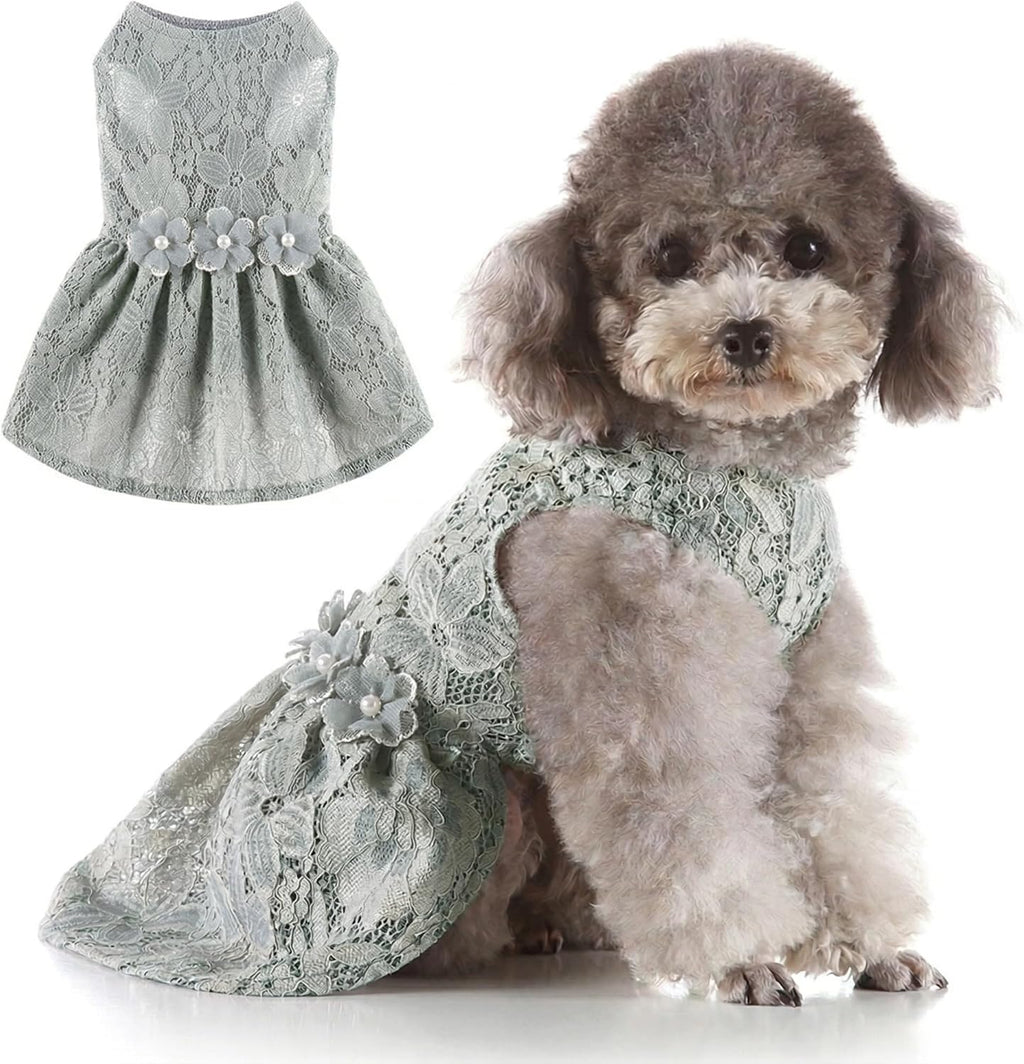 Fancy Cute Small Dog Dress for Girl - Elegant Lace Pet Dress with Floral Accents Puppy Apparel (Gray, M)