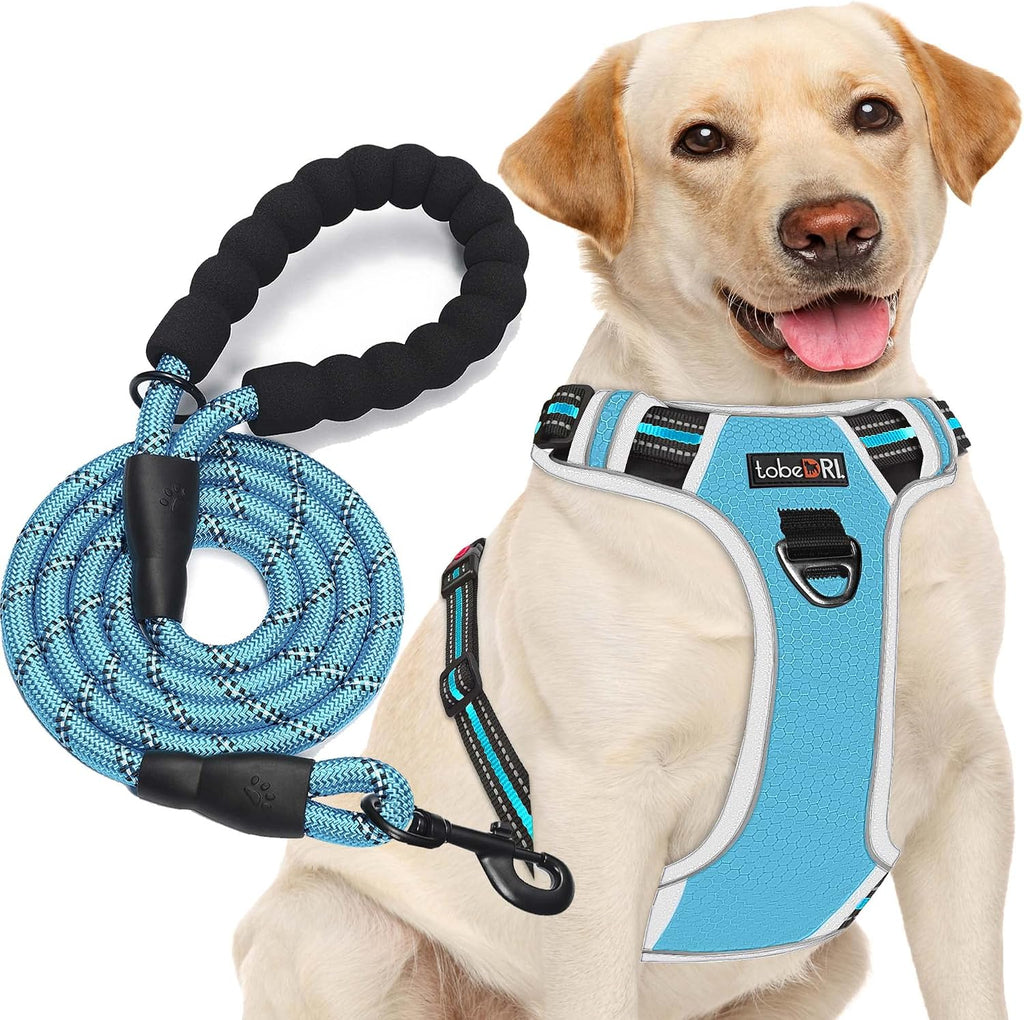tobeDRI No Pull Dog Harness Adjustable Reflective Oxford Easy Control Medium Large Dog Harness with A Free Heavy Duty 5ft Dog Leash, Blue, L