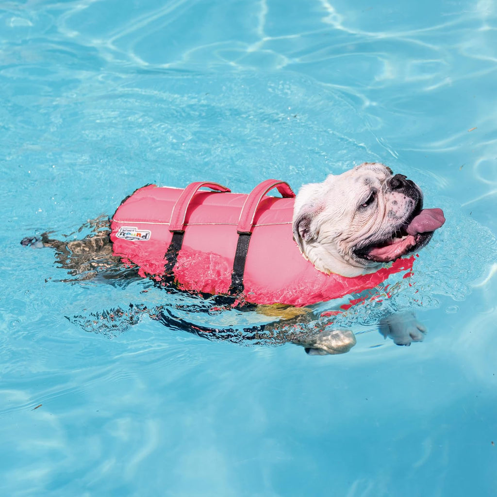 Outward Hound Granby Splash Dog Life Jacket, Life Vest, Pink, Small