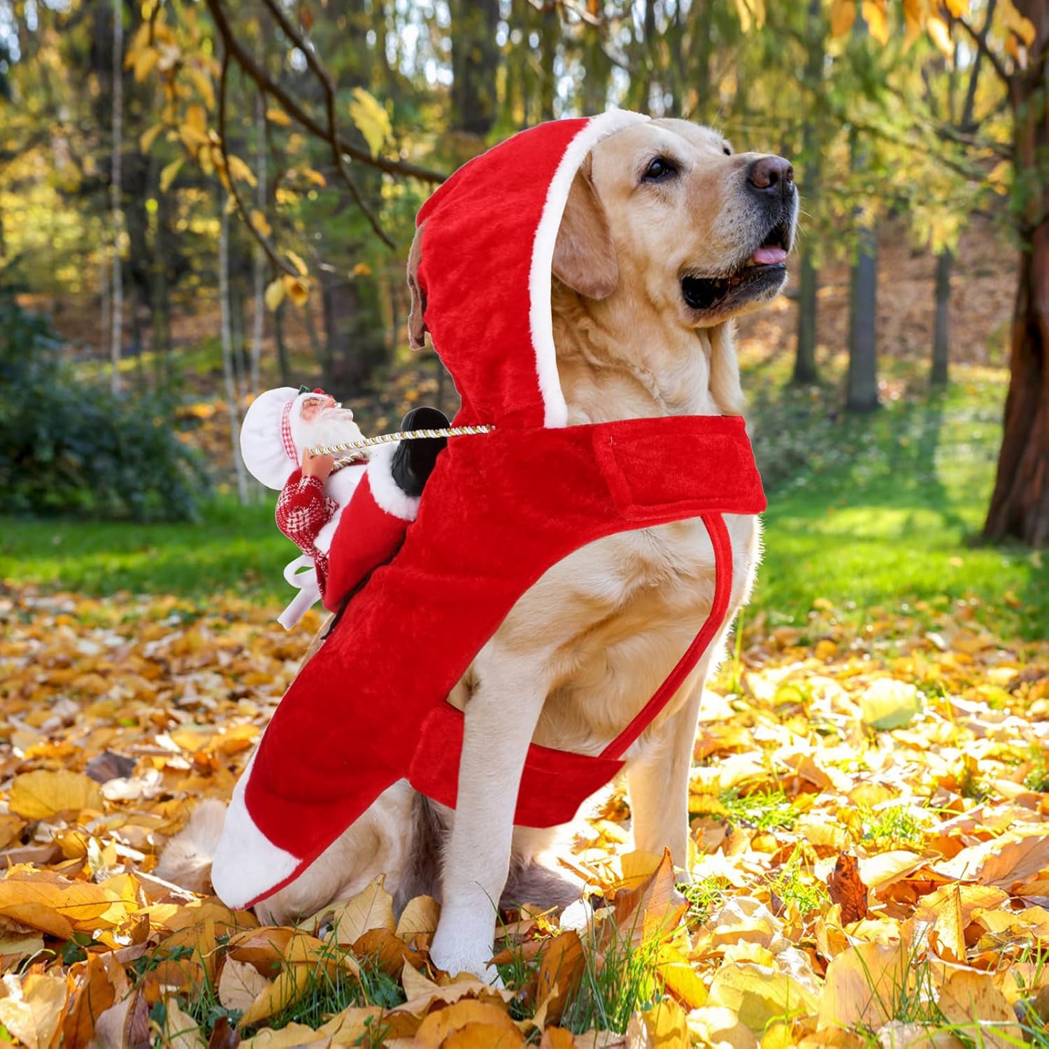 BWOGUE Santa Dog Costume, Dog Christmas Outfit, Santa Riding Pet Clothes, L