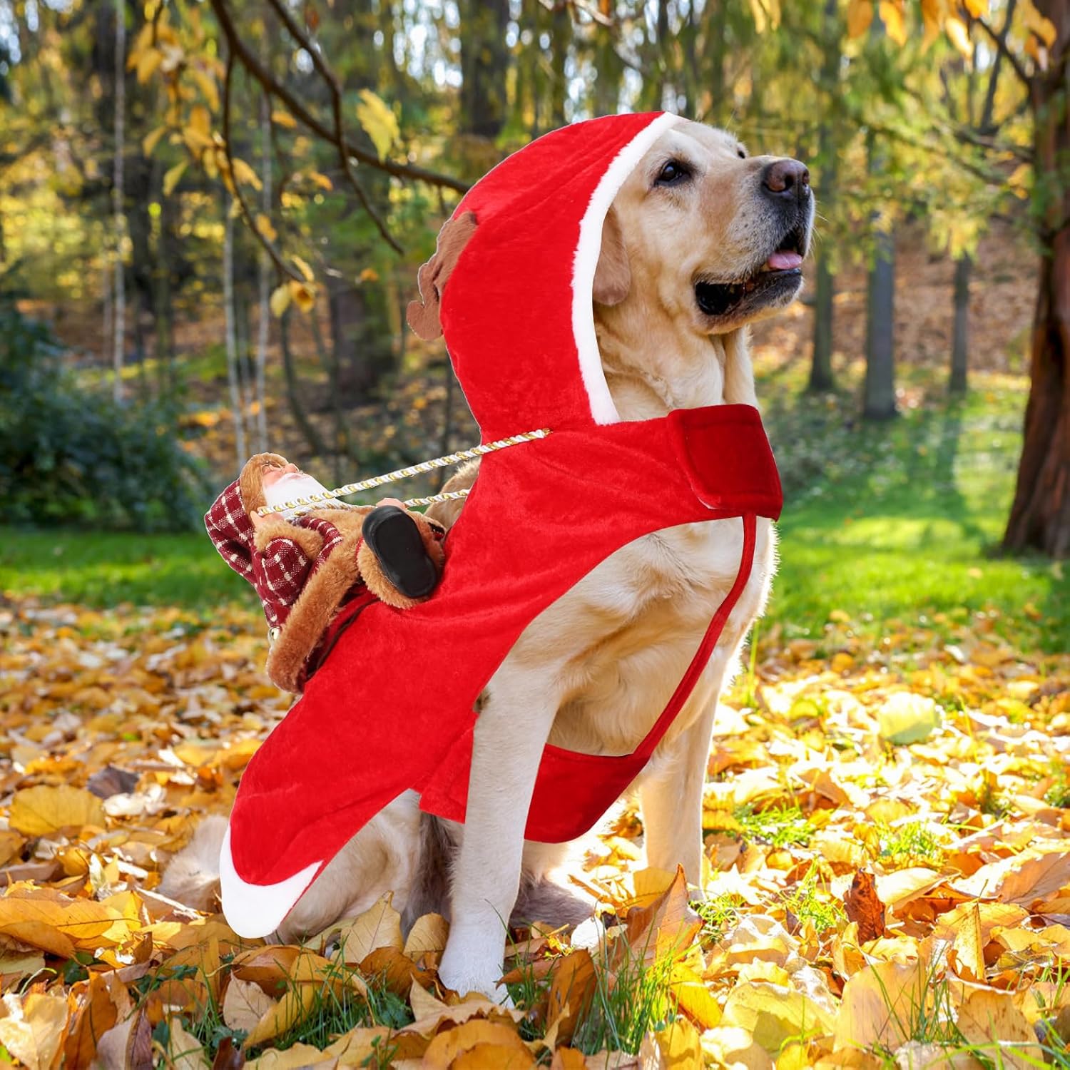 BWOGUE Santa Dog Costume, Dog Christmas Outfit, Riding Pet Clothes, Size L