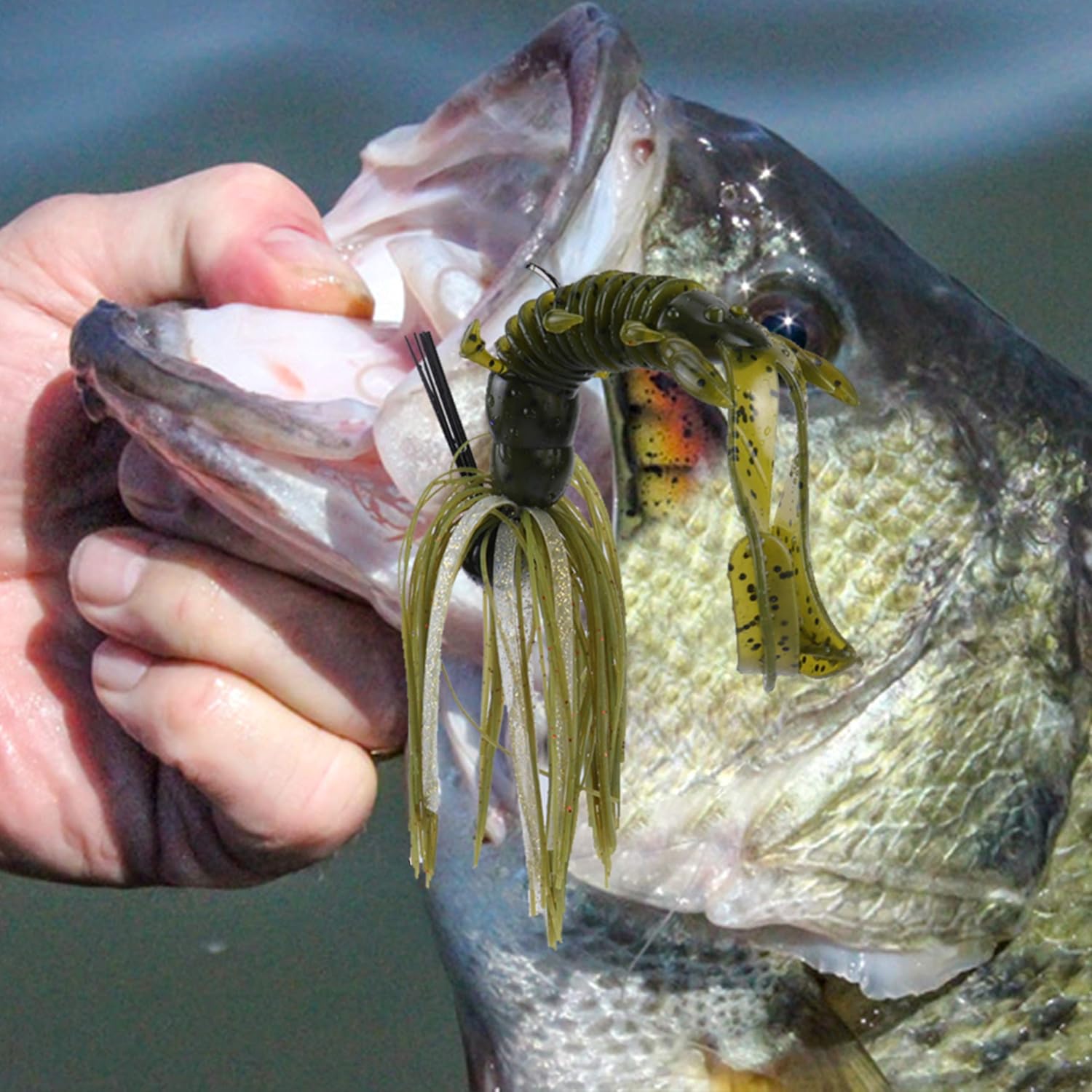 RUNCL Anchor Box - Bass Fishing Lures - Flipping, Swim, Football Jigs - Spike Trailer Keeper, Silicone Skirts, Streamlined Head, Weedguard System - Proven Colors (Pack of 4)