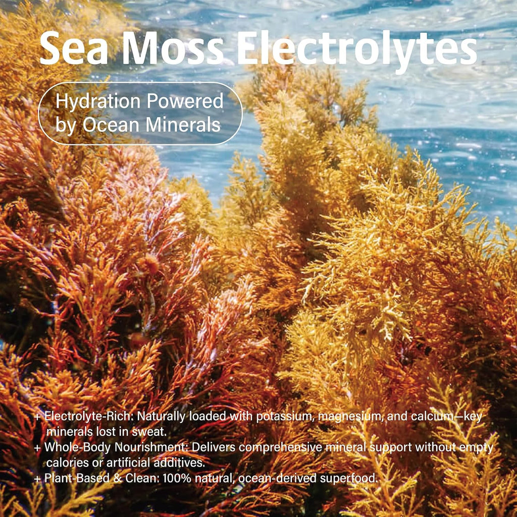 Sea Moss Electrolytes Powder Packets - Hydration Packets Sugar Free - Electrolyte Packets with 30 Sticks - Zero Sugar & 0 Calorie - Keto Friendly - Gluten Free Drink Mix - Mango Pineapple