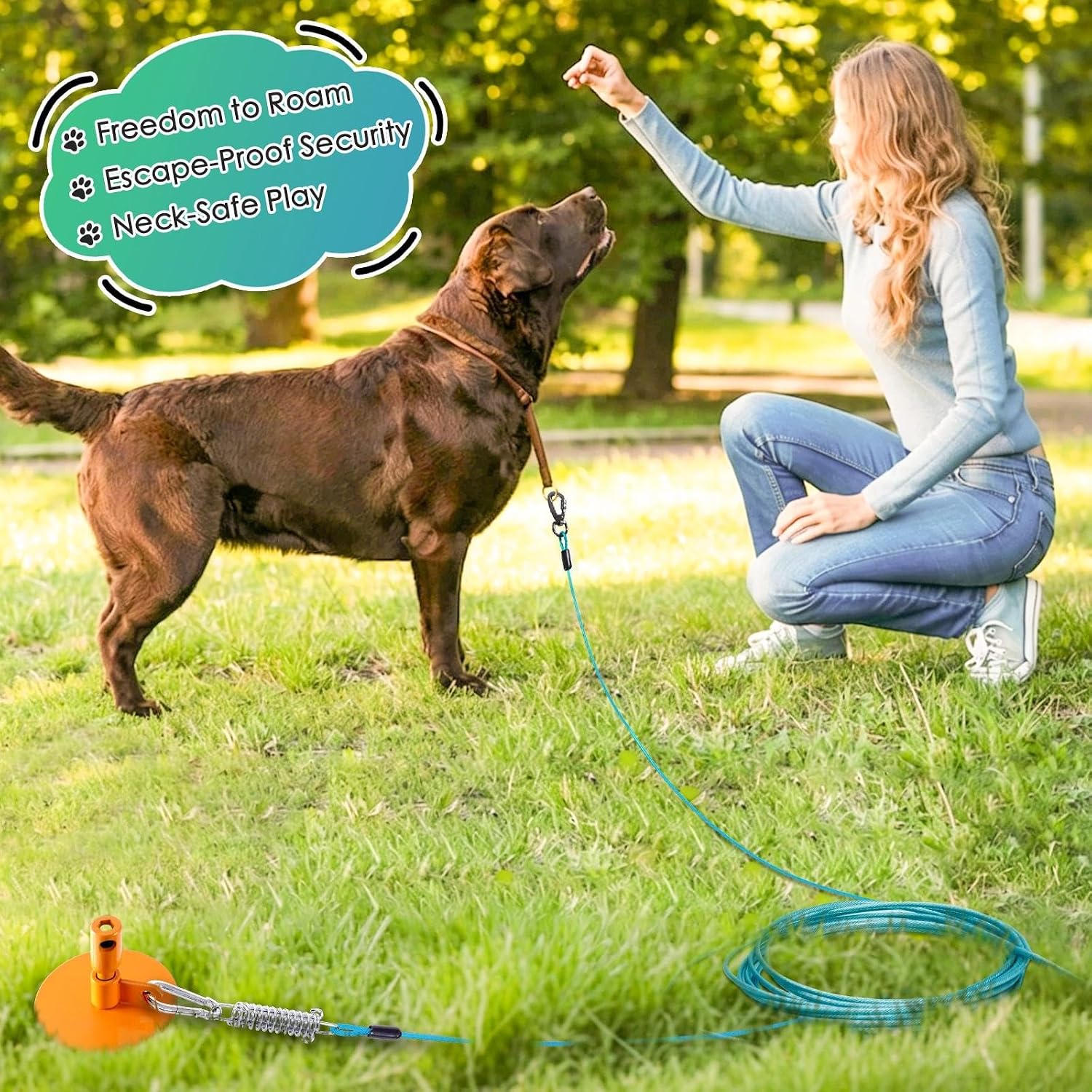 Dog Tie Out Stake with Lock-Cap,Heavy Duty Dog Stake for Outside