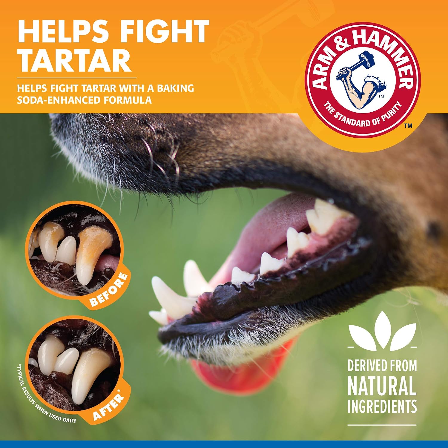 Arm & Hammer Clinical Care Dental Rinse for Dogs, 16 Fl Oz