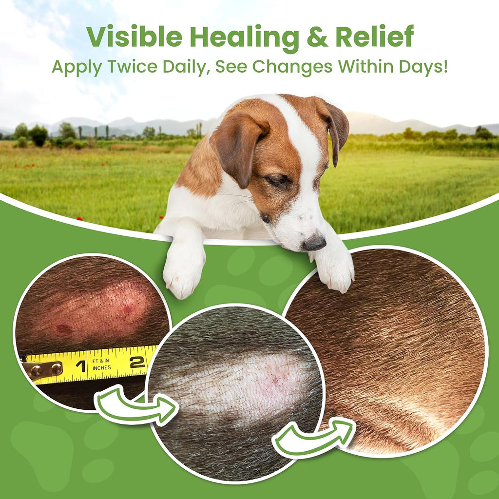 Hot Spot Treatment for Dogs - Pet Wound Care, Healing Ointment (4 Oz.)