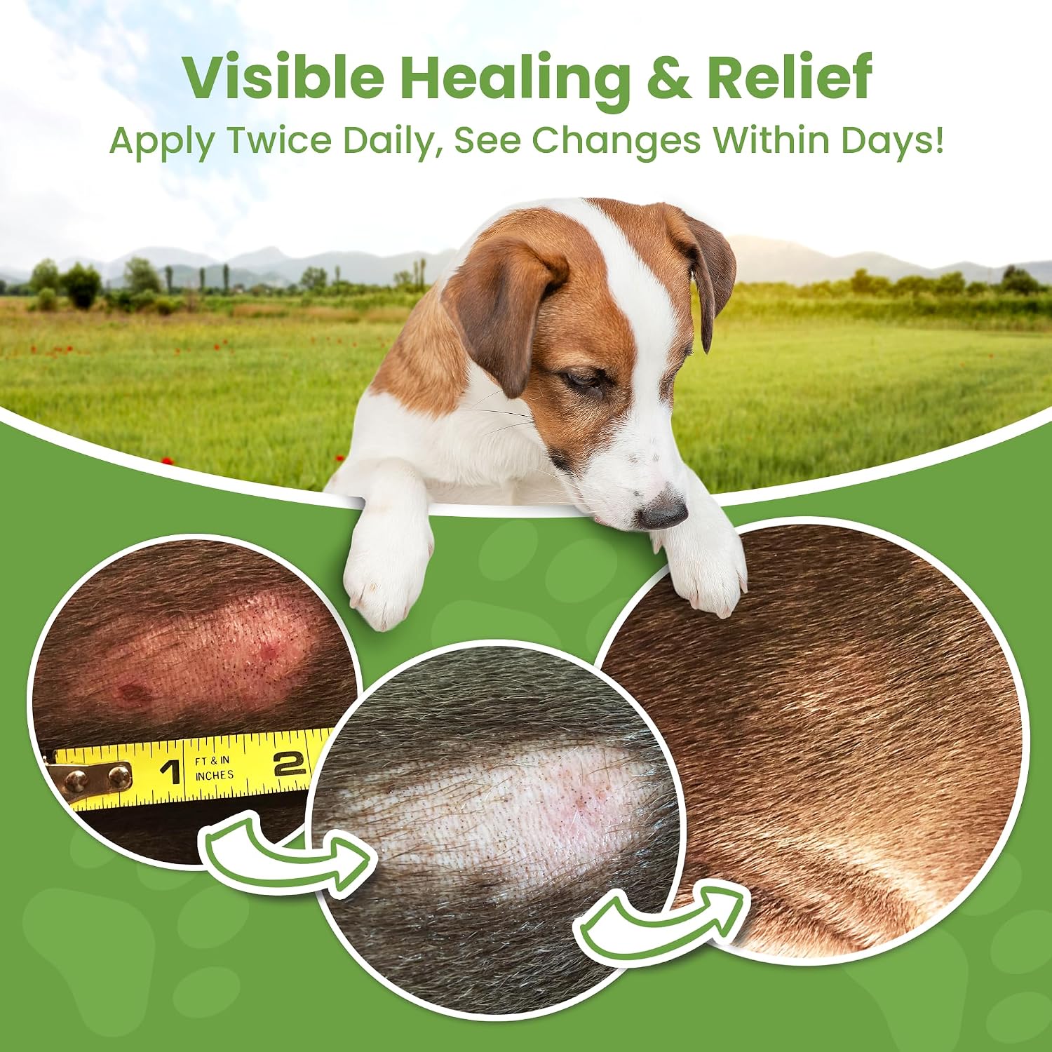 Hot Spot Treatment for Dogs - Pet Wound Care, Healing Ointment (4 Oz.)