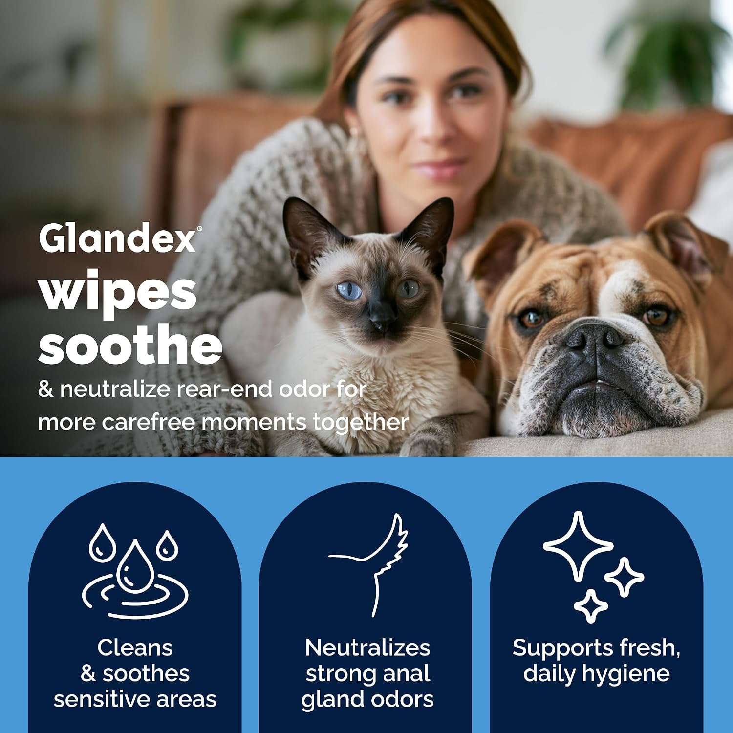 Vetnique Glandex Rear End Wipes for Dogs & Cats, Anal Gland Hygiene
