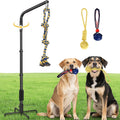 AugFir Tether Outdoor Dog Rope Toy with Strengthen Spring Pole, 3 Kinds Dog Tug of War Toys for Self Play and Interactive in Park, Yard, Lawn Rope, Suitable for Large Medium Small Dogs (Black)