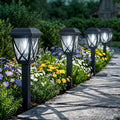 Greluna Solar Pathway Lights Outdoor 10 Pack, Cool White 6000K Solar Lights