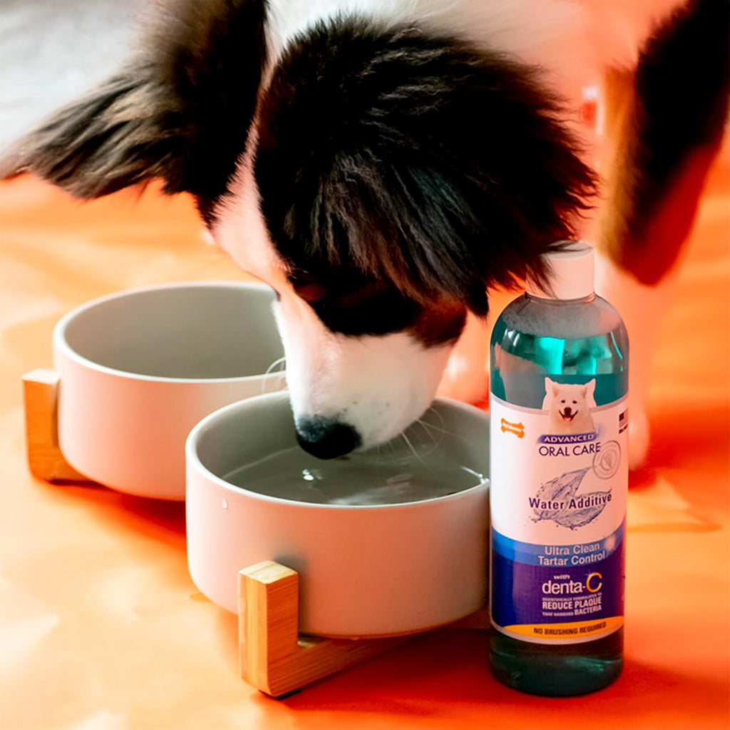 Nylabone Advanced Oral Care Pet Dental Water Additive, Liquid Tartar Remover & Breath Freshener for Dogs, Dog Teeth-Cleaning, Original Flavor, 32 oz.