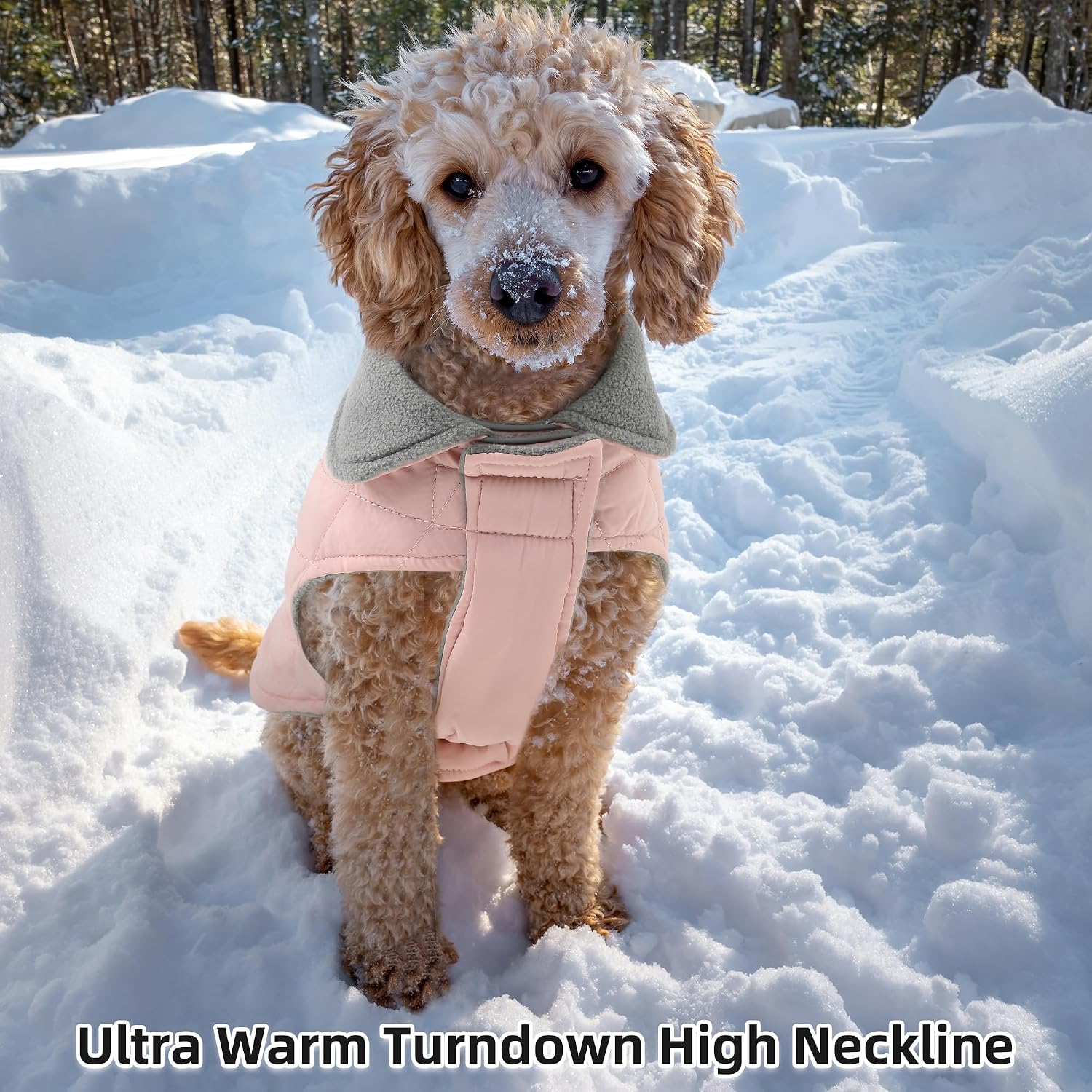 Mile High Life Dog Warm Coat, Small Dog Winter Jacket Windproof Water Resistant Cold Weather Coats Cozy Snow Jacket Vest for Puppies (Pink, Medium Chest: 17.3")