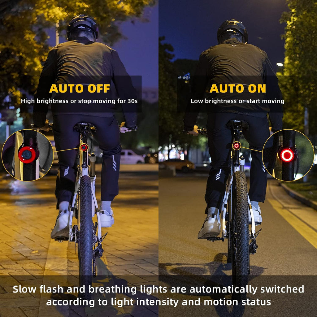 ROCKBROS Bike Tail Light Rechargeable Auto On Sensor Off IPX6 Waterproof