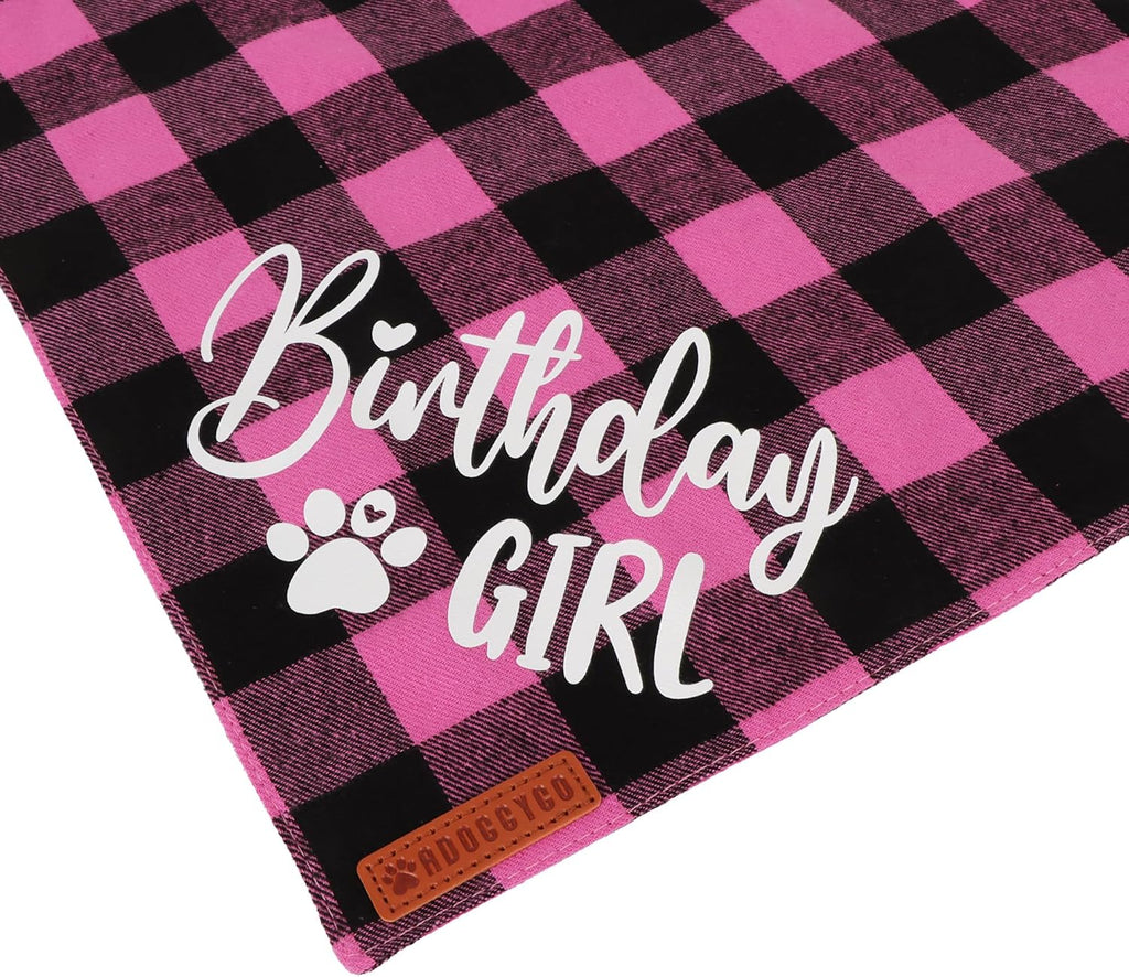 ADOGGYGO Dog Birthday Hat, Pink Plaid Birthday Dog Bandana Set, Small