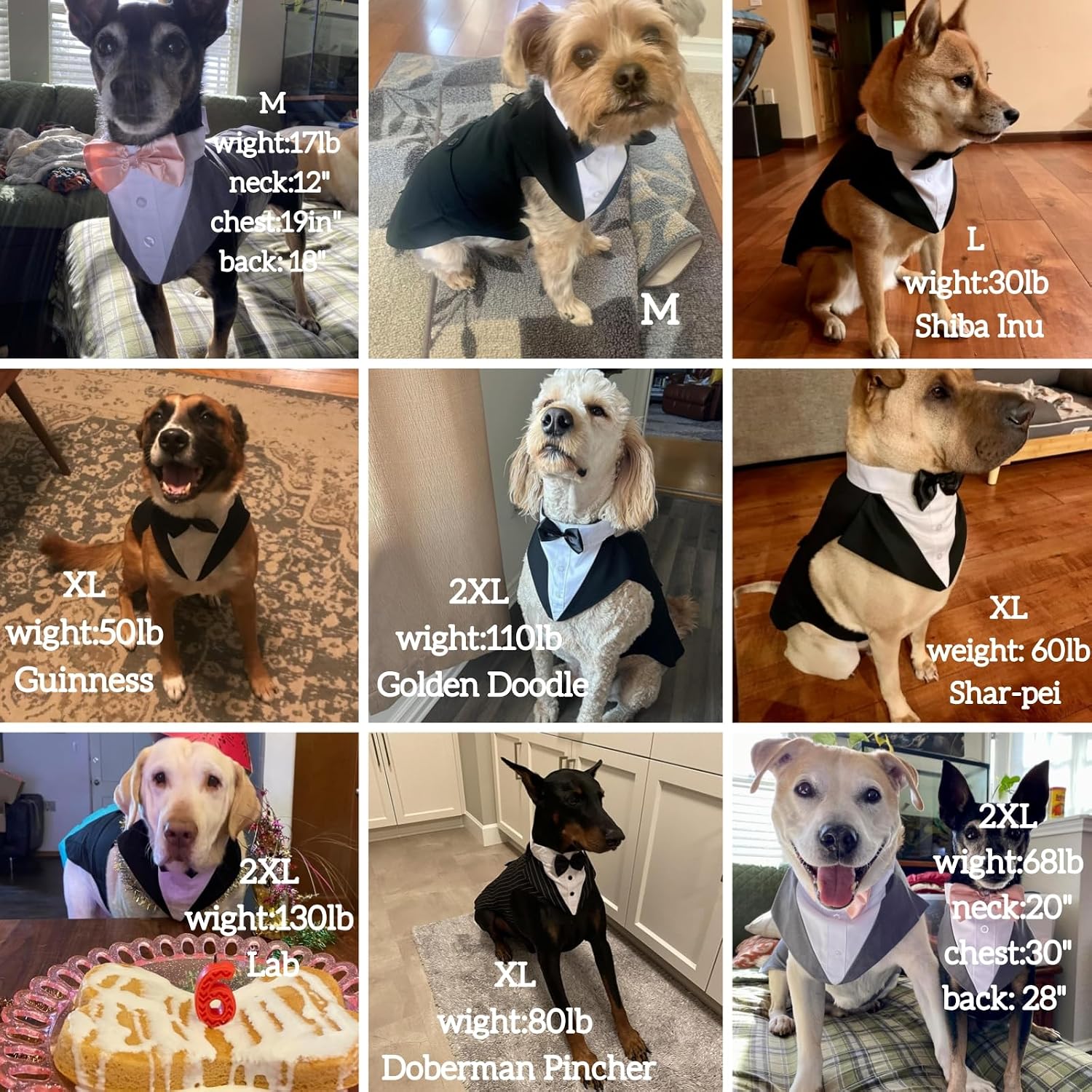 Dog Tuxedo for Large Dogs, Dog Suit and Bandana Set, Dog Costume Outfit