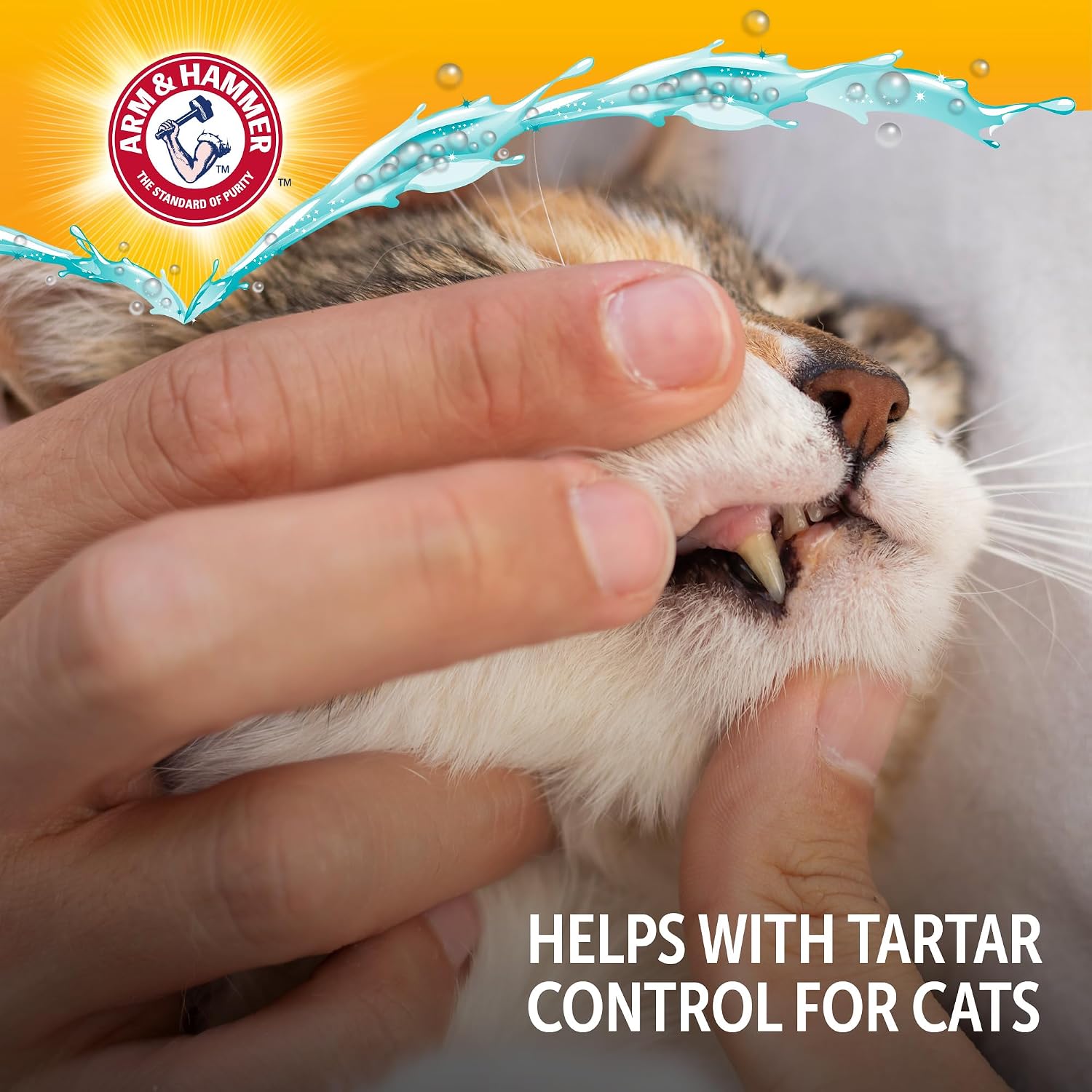 Arm & Hammer Complete Care Cat Dental Water Additive, 8 Fl Oz, 2-Pack