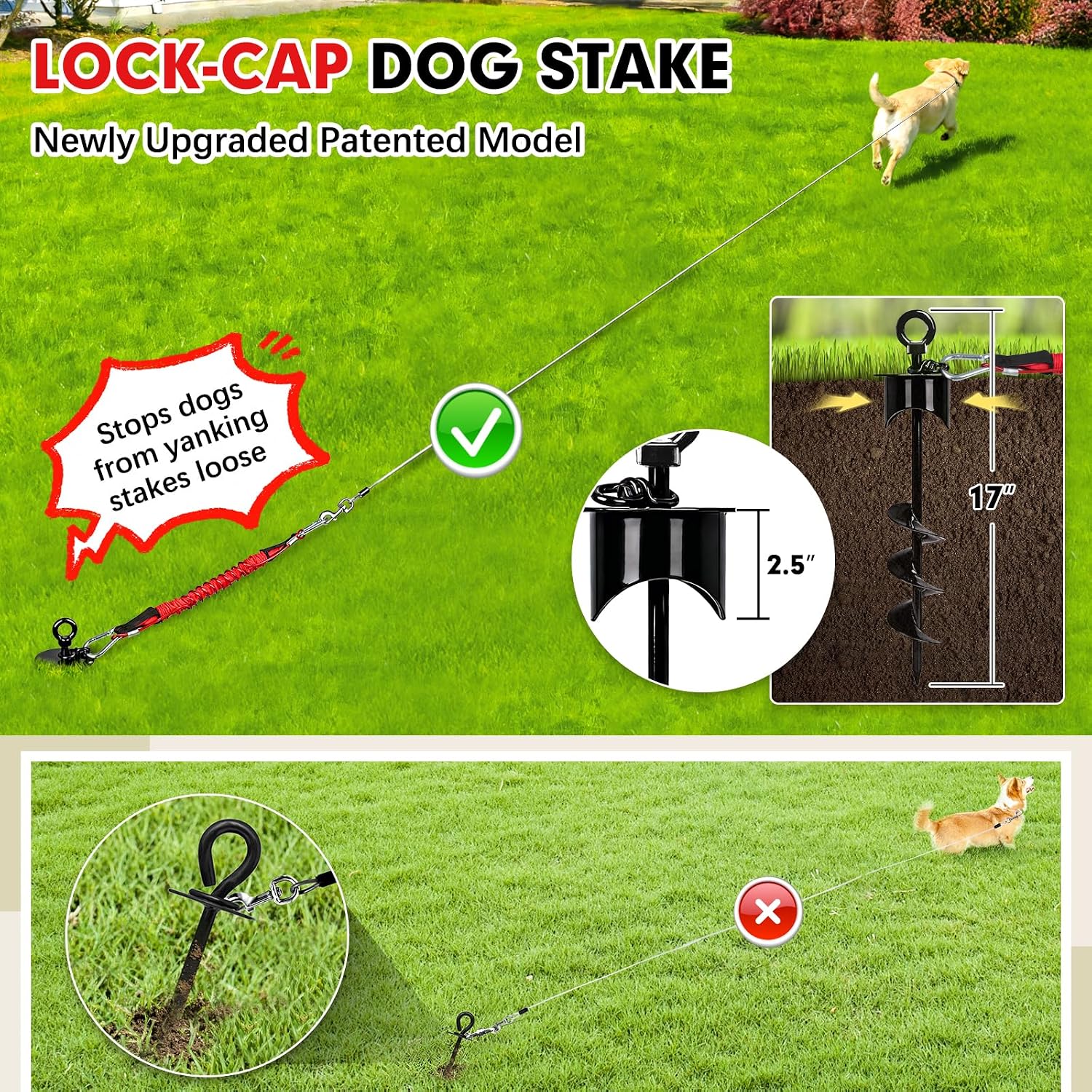 Snagle Paw Dog Tie Out Stake with Lock-Cap,Heavy Duty Dog Stakes for Outside/Yard/Camping with Shock Absorbing Bungee Tether,360°Swivel Rust Proof Ground Anchor for Dog Cable,Leash,Chain,up to 360 Lbs