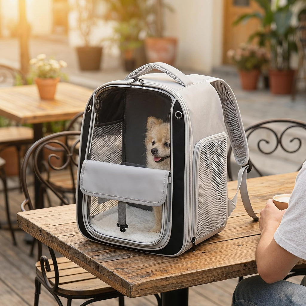 Pet Carrier Backpack for Cats and Small Dogs, Transparent PC Window, Breathable Mesh Sides, Front Pocket, Comfortable Padded Straps