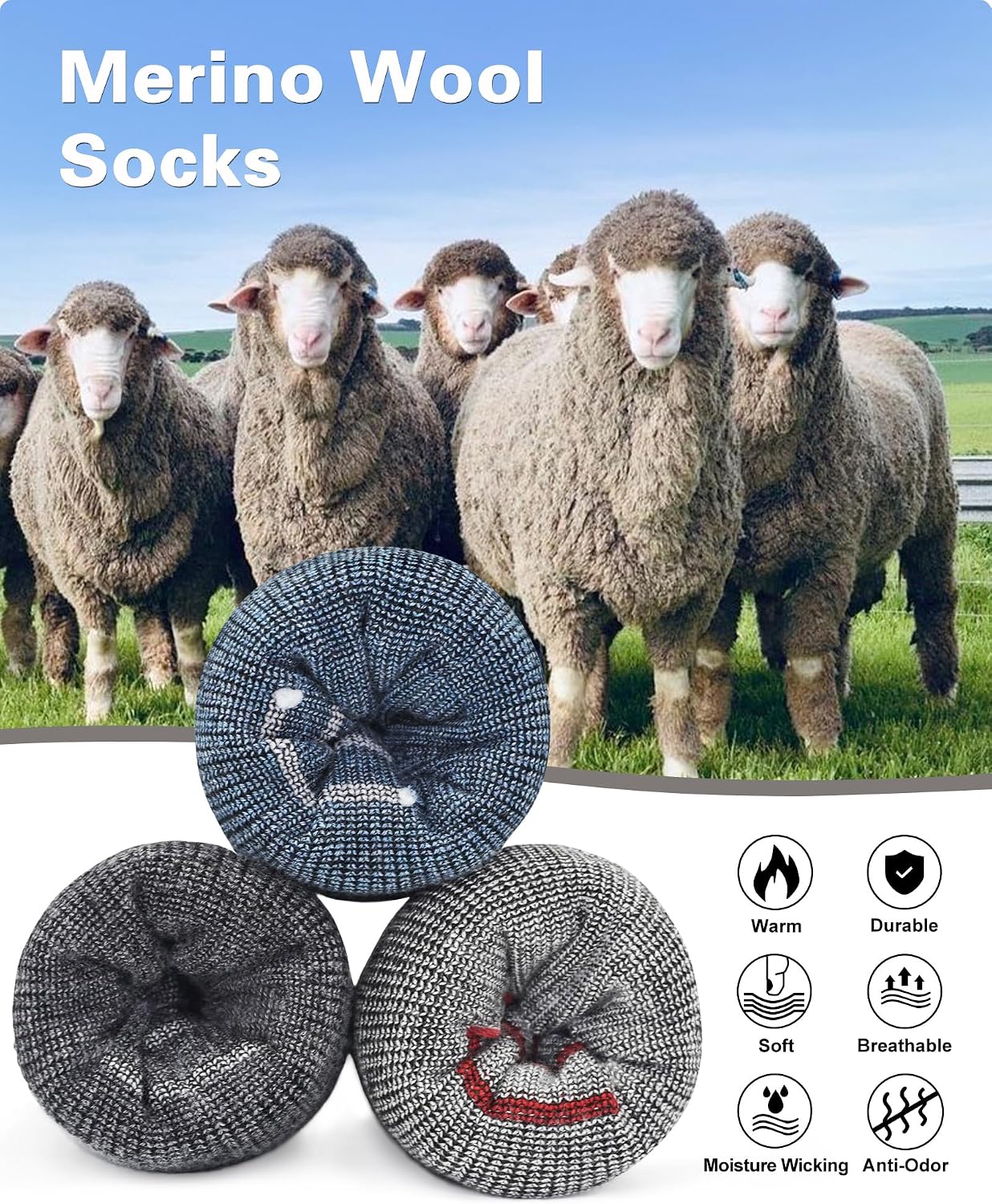 SIXDAYSOX Merino Wool Socks Mens, Crew Cushioned Hiking Socks Men Size 8-16