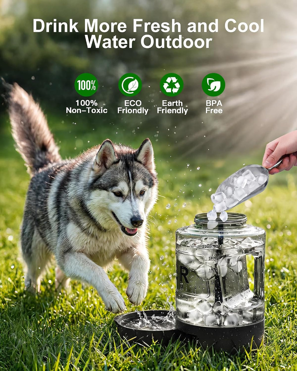 Portable Dog Water Bottle with Bowl, Large 77 oz/2.2 L, Black
