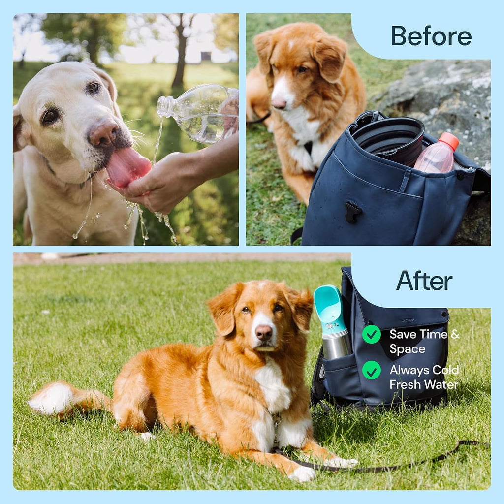 MalsiPree Insulated Dog Water Bottle - 24 oz Blue, Stainless Steel
