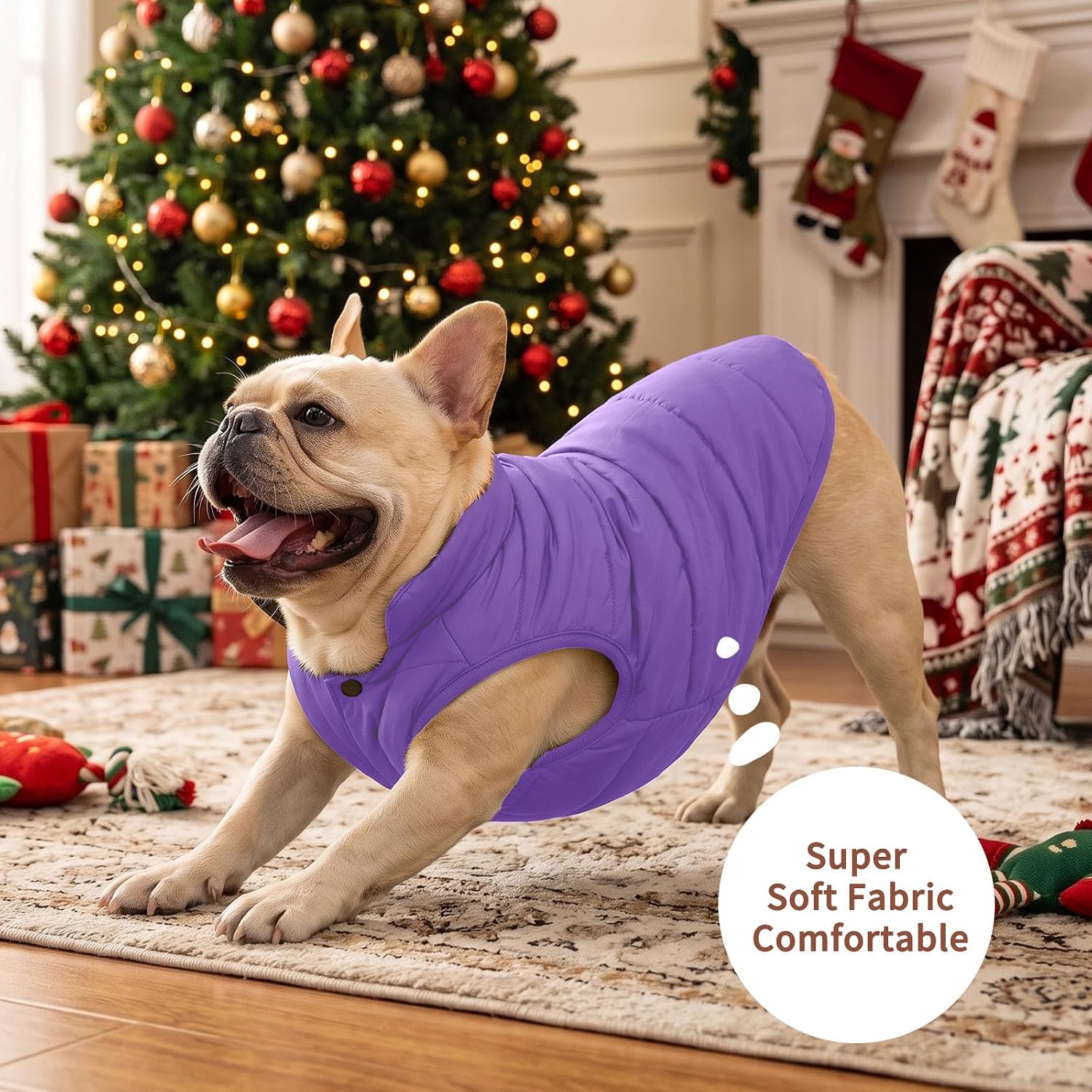 JoyDaog Fleece Lined Dog Jacket for Small Dogs,Winter Dog Coat,Purple M