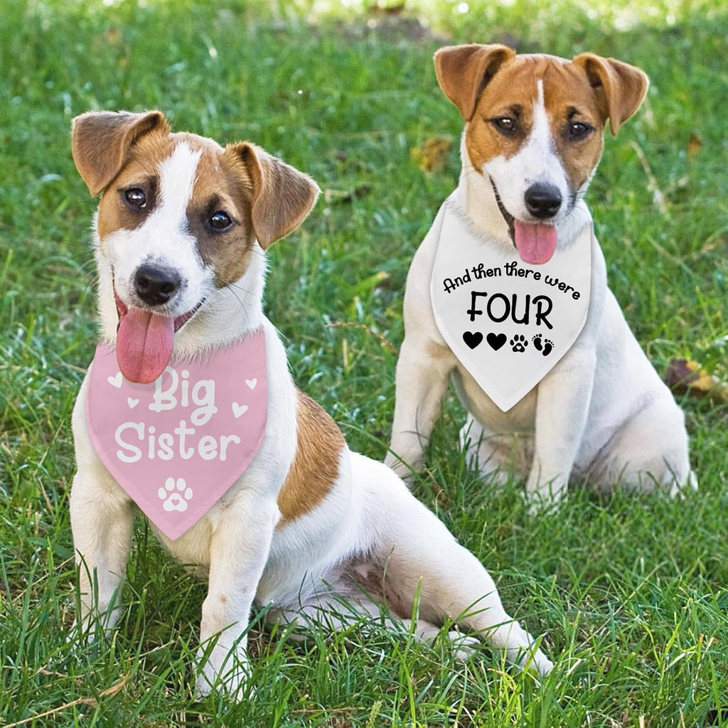 2 Packs Big Sister and Then There were Four Dog Bandana New Baby Gift Adjustable Pet Scarf for Large Medium Small Dogs Pregnancy Announcement Pink Big Sister Gender Reveal Outfit